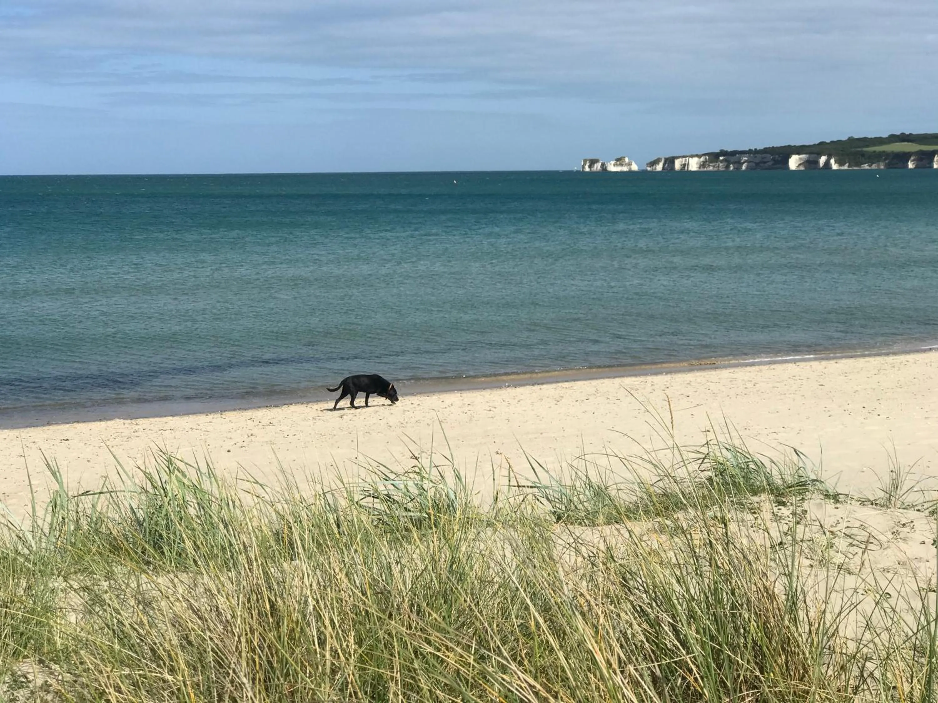 Beach in Arbour House B&B