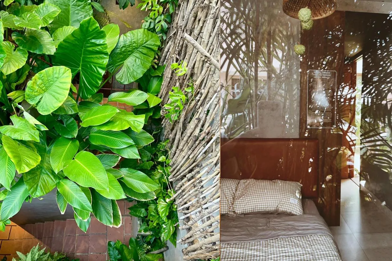 Patio in 5 homestay 1