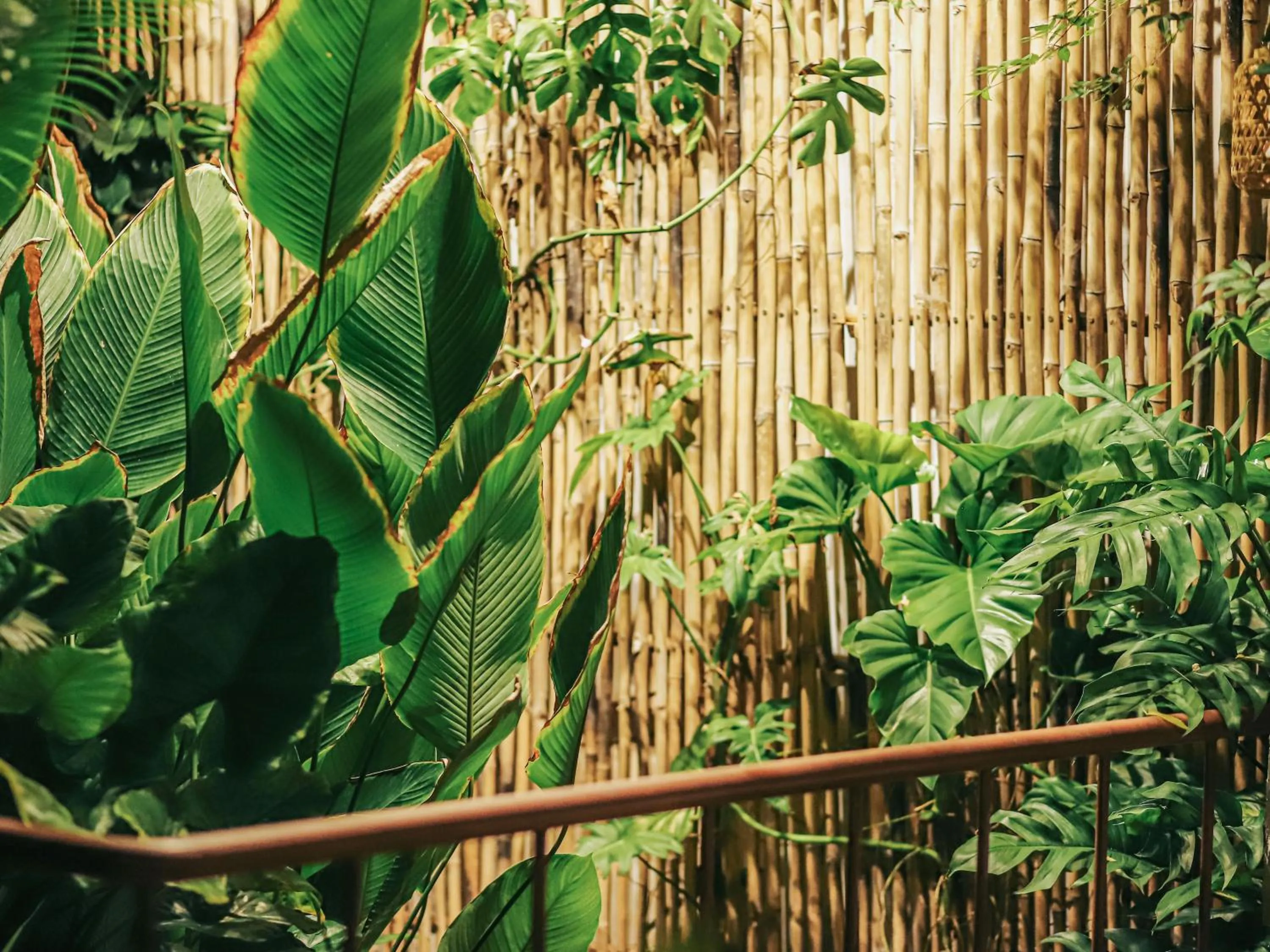 Patio in 5 homestay 1