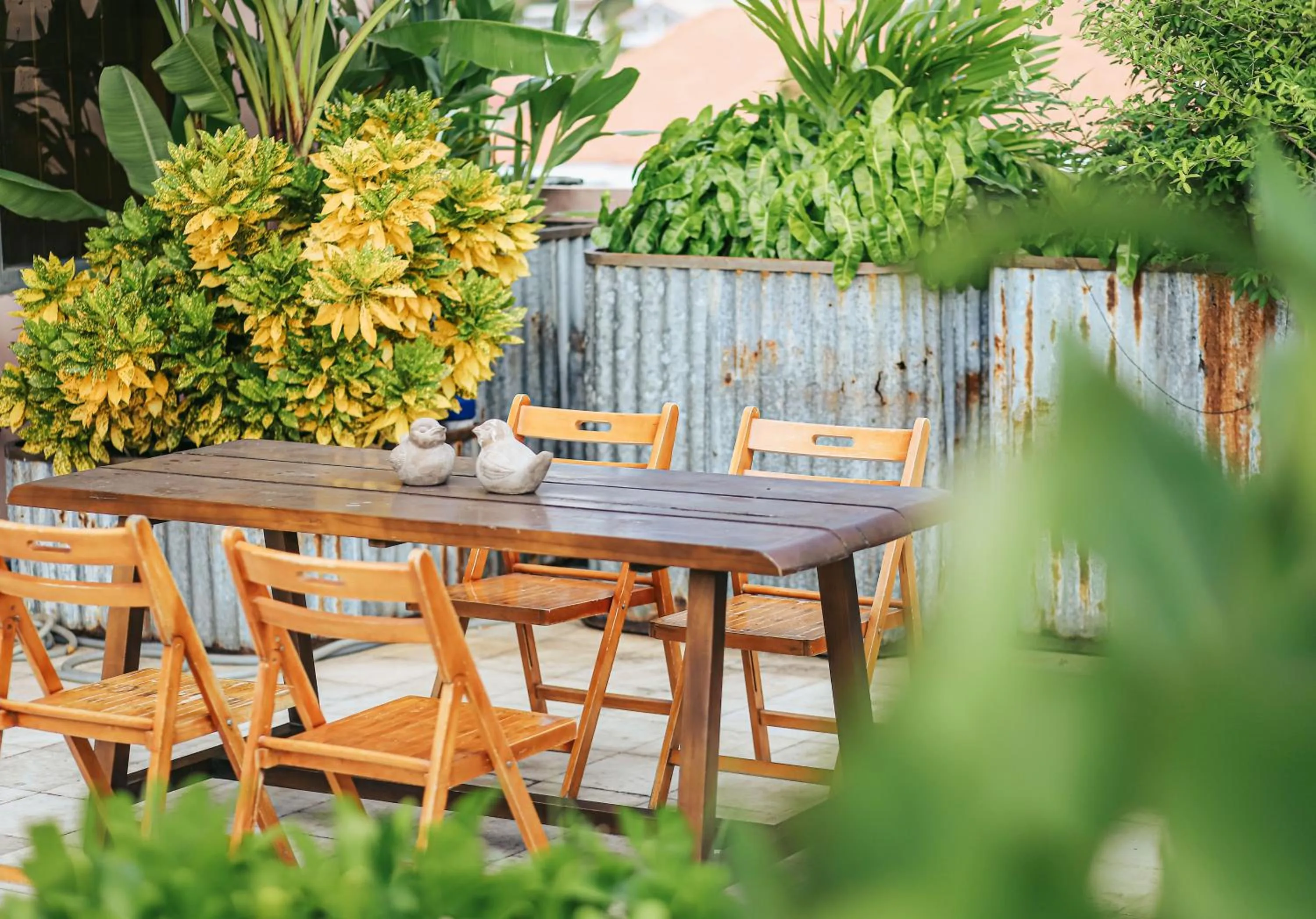 Patio in 5 homestay 1