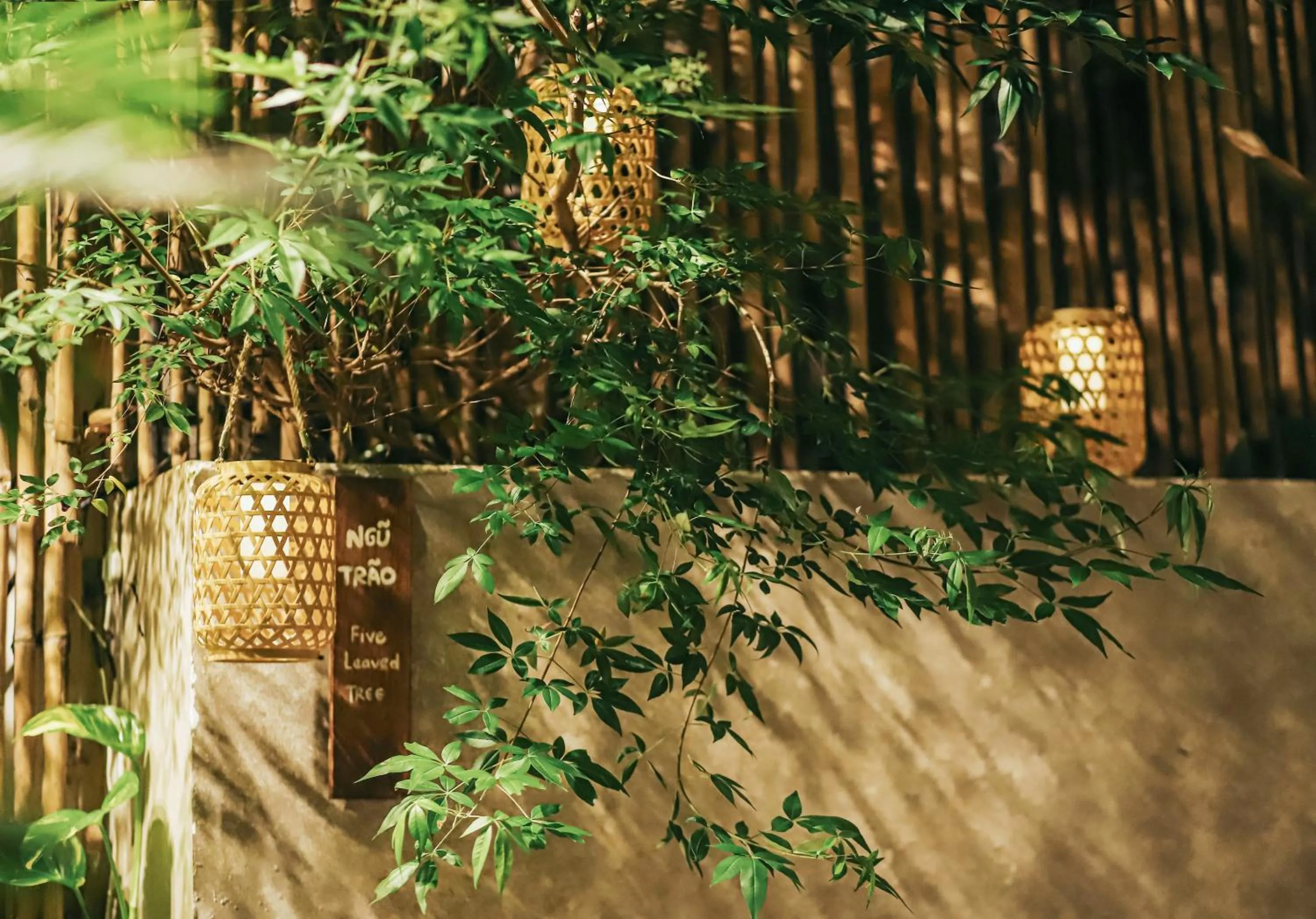 Patio in 5 homestay 1