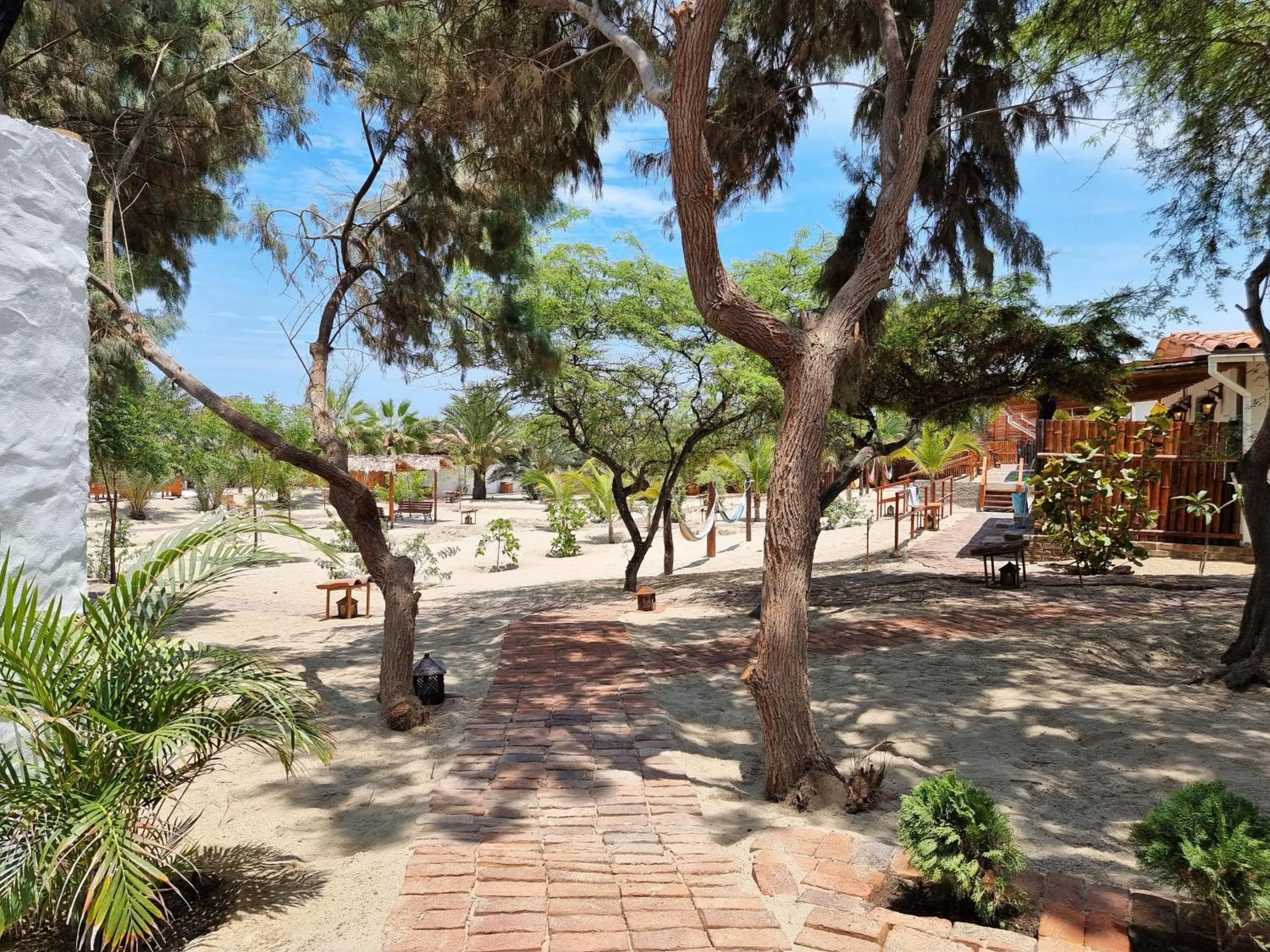 Garden view in Hotel Punta del Norte Bungalows