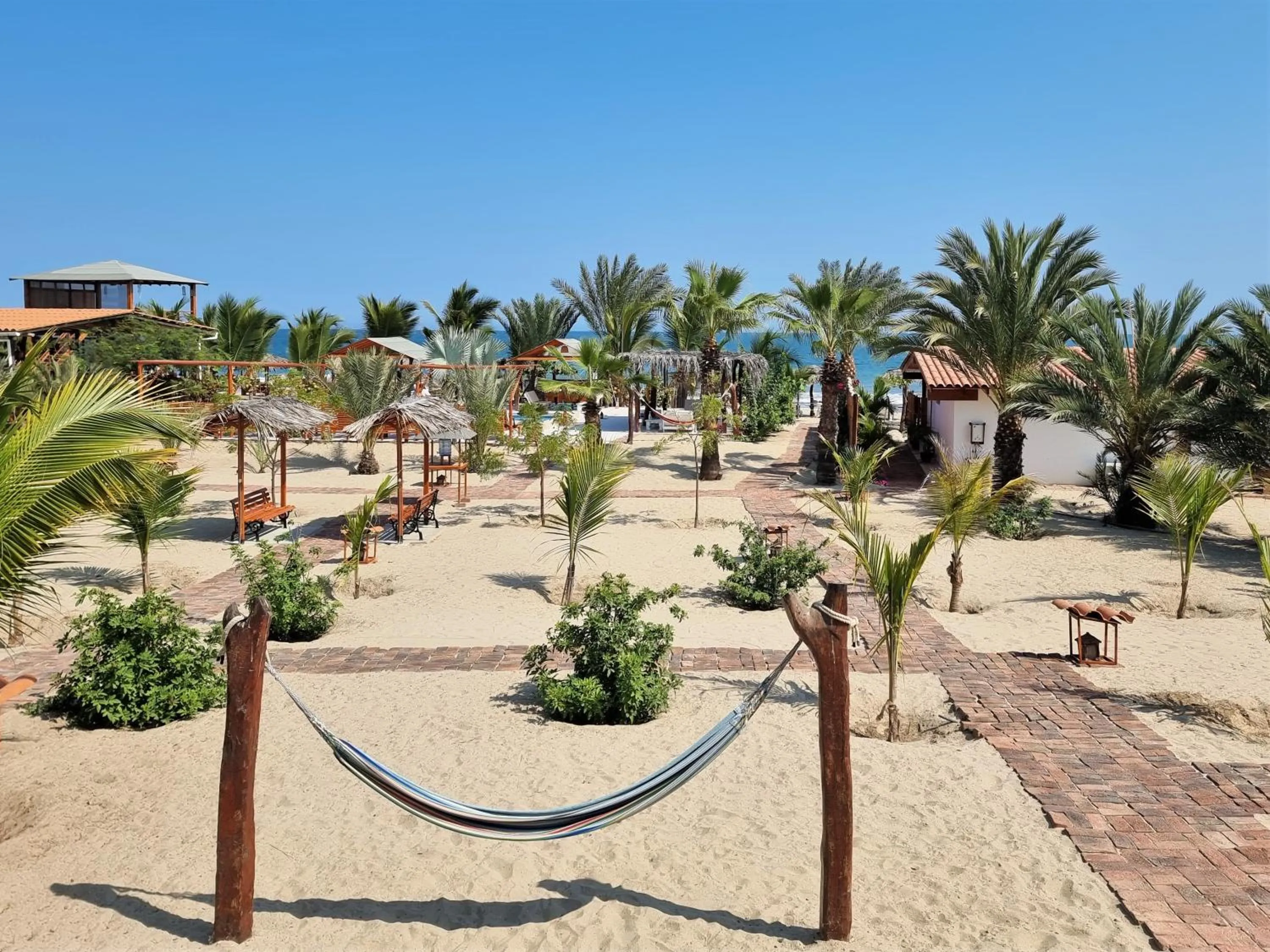 Garden view in Hotel Punta del Norte Bungalows