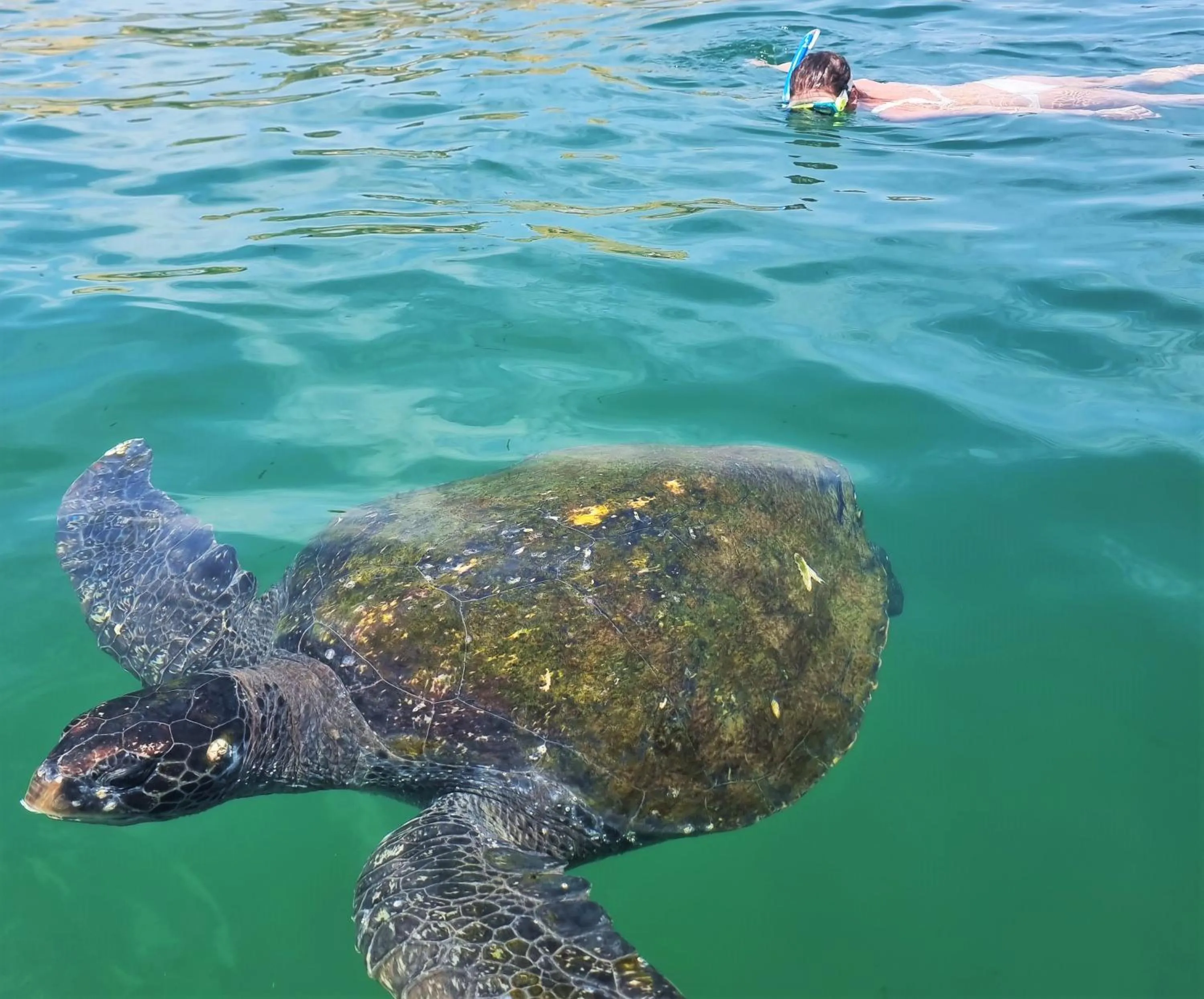 Natural landscape in Hotel Punta del Norte Bungalows