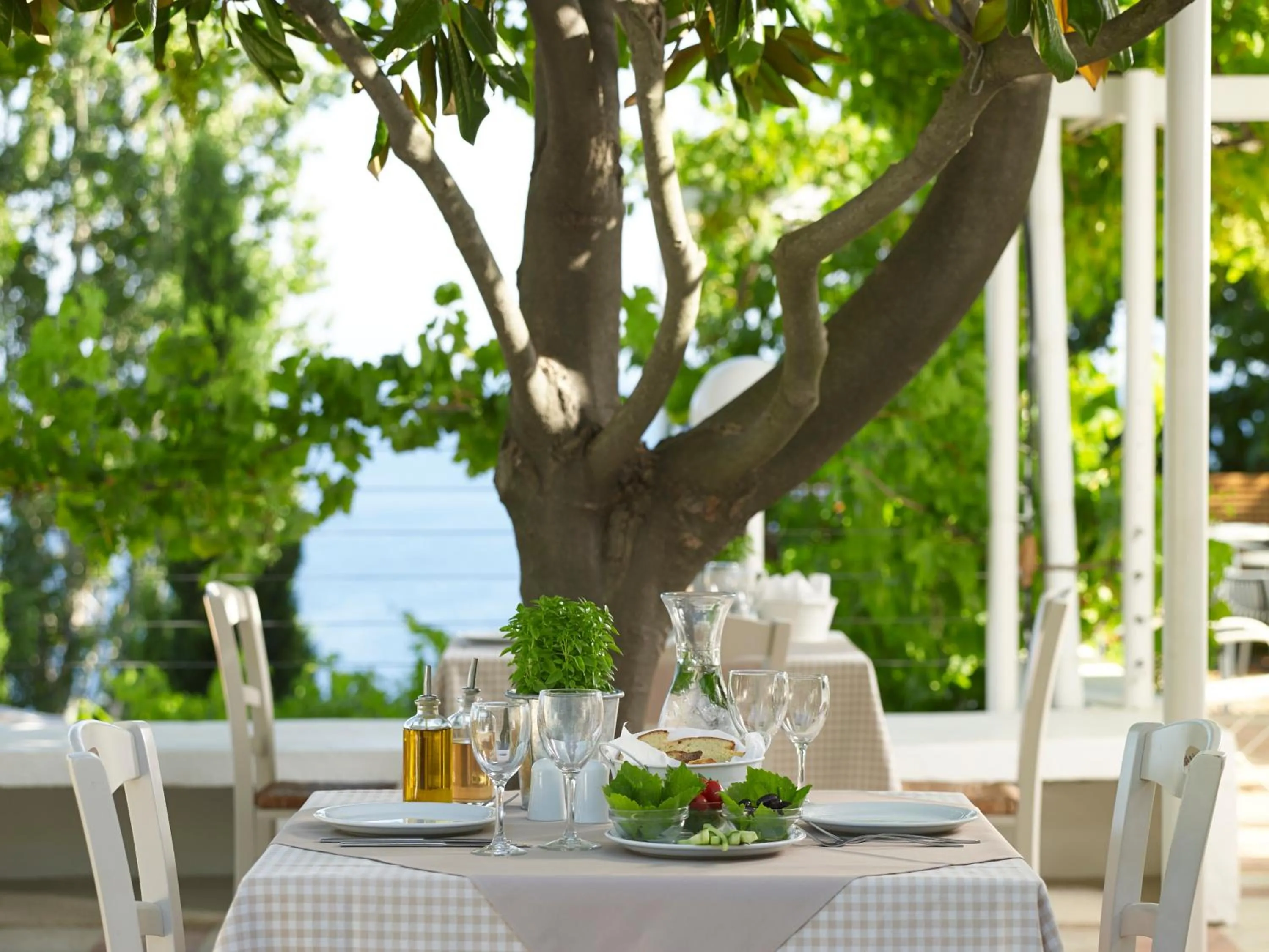 Restaurant/places to eat in Atrium Hotel