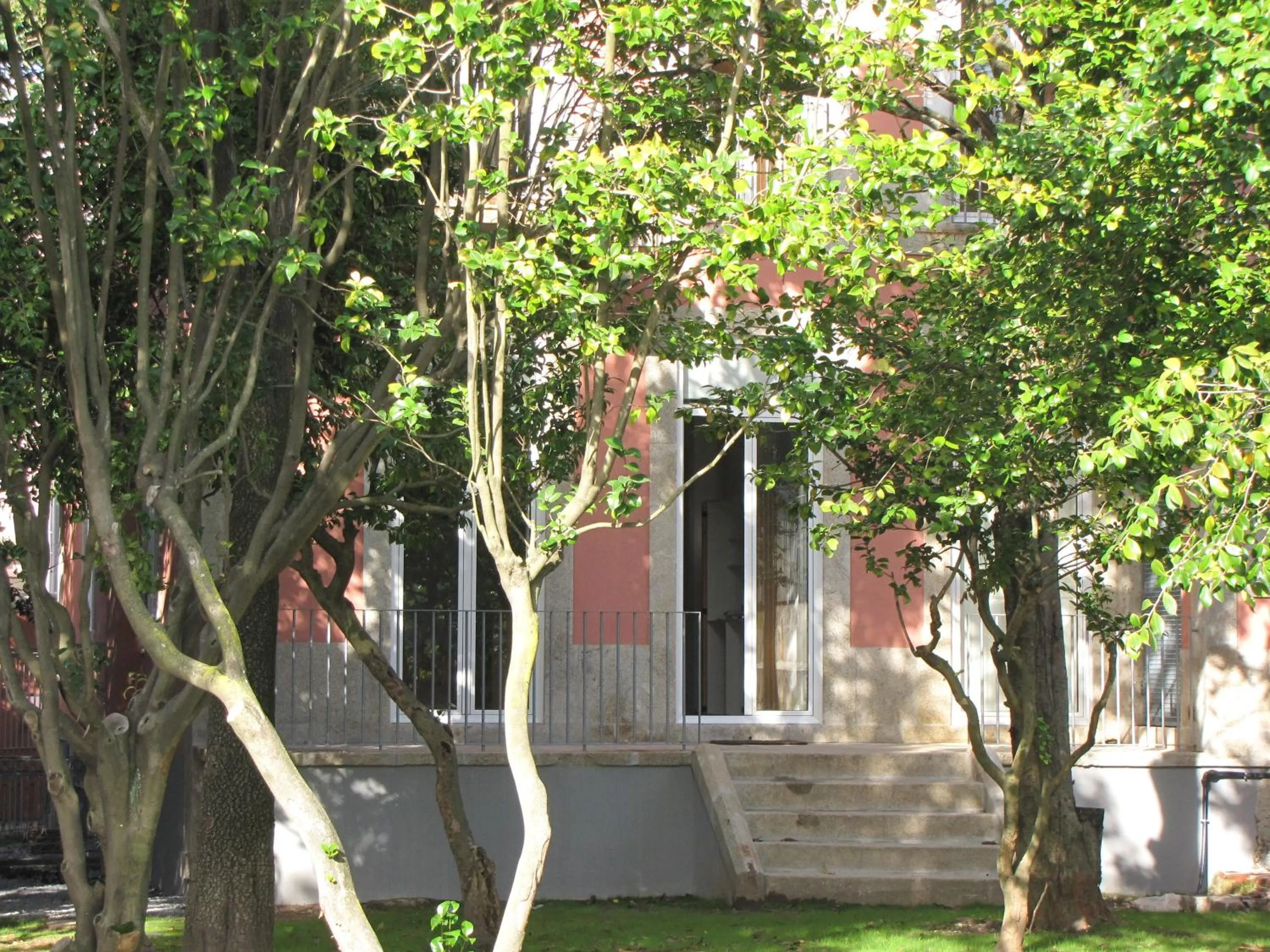 Garden in Koolhouse Porto