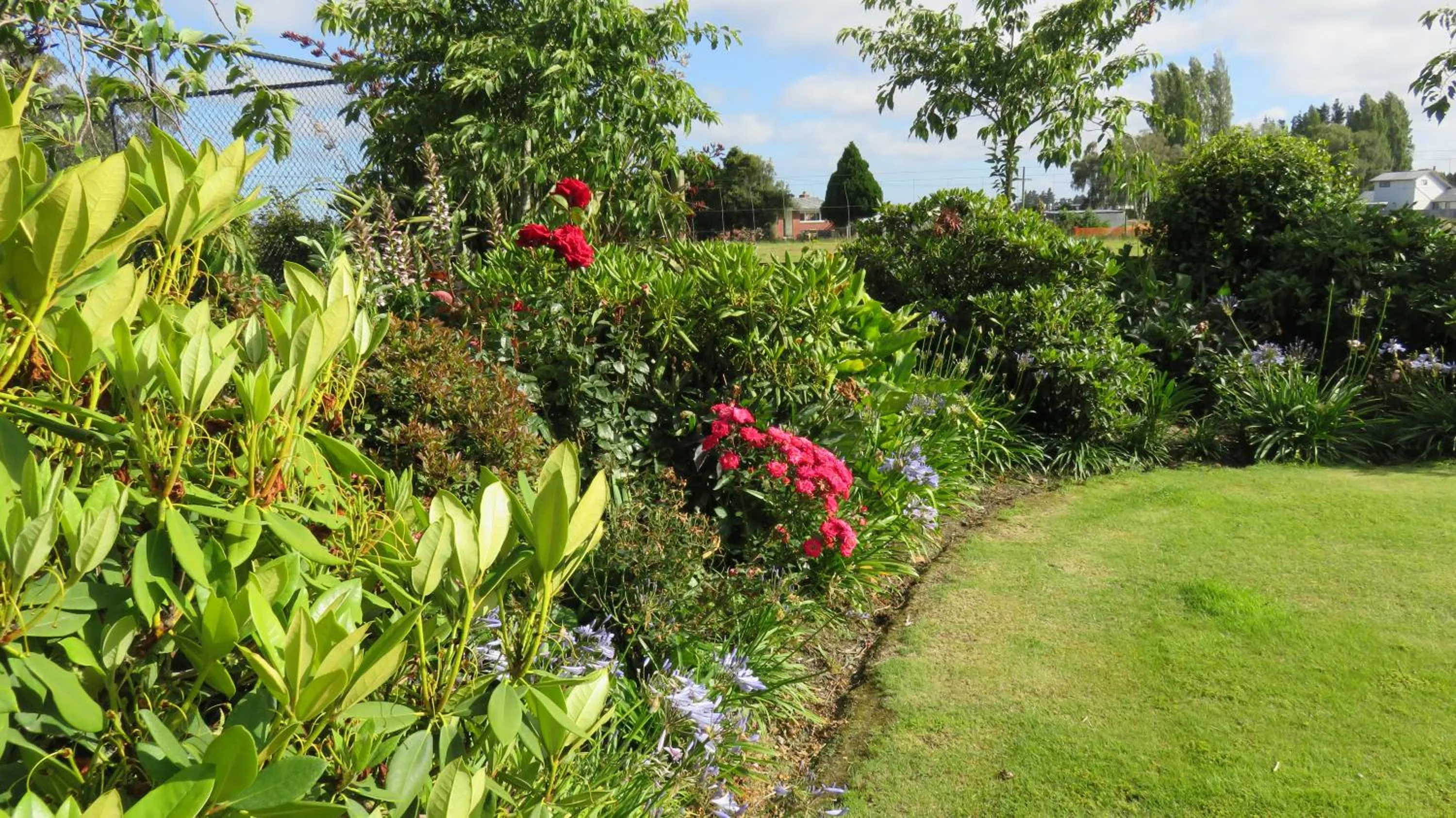 Garden in Maples on Harewood