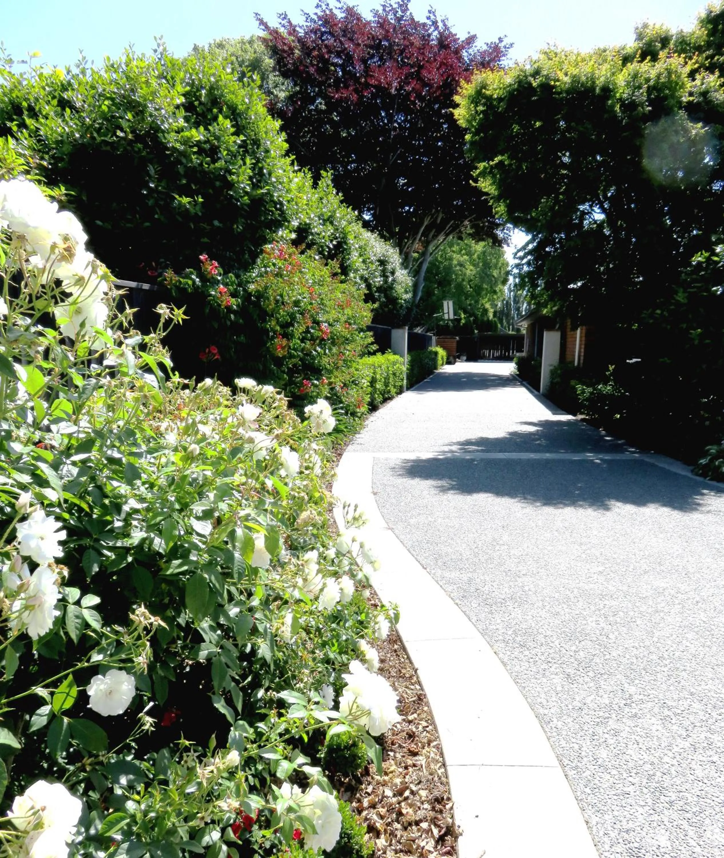 Street view in Maples on Harewood