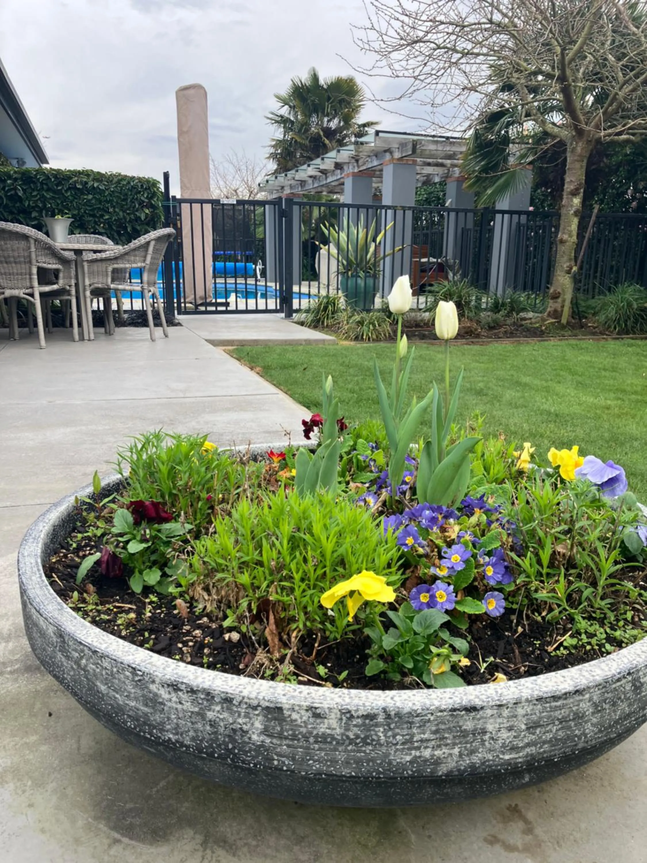 Garden in Maples on Harewood