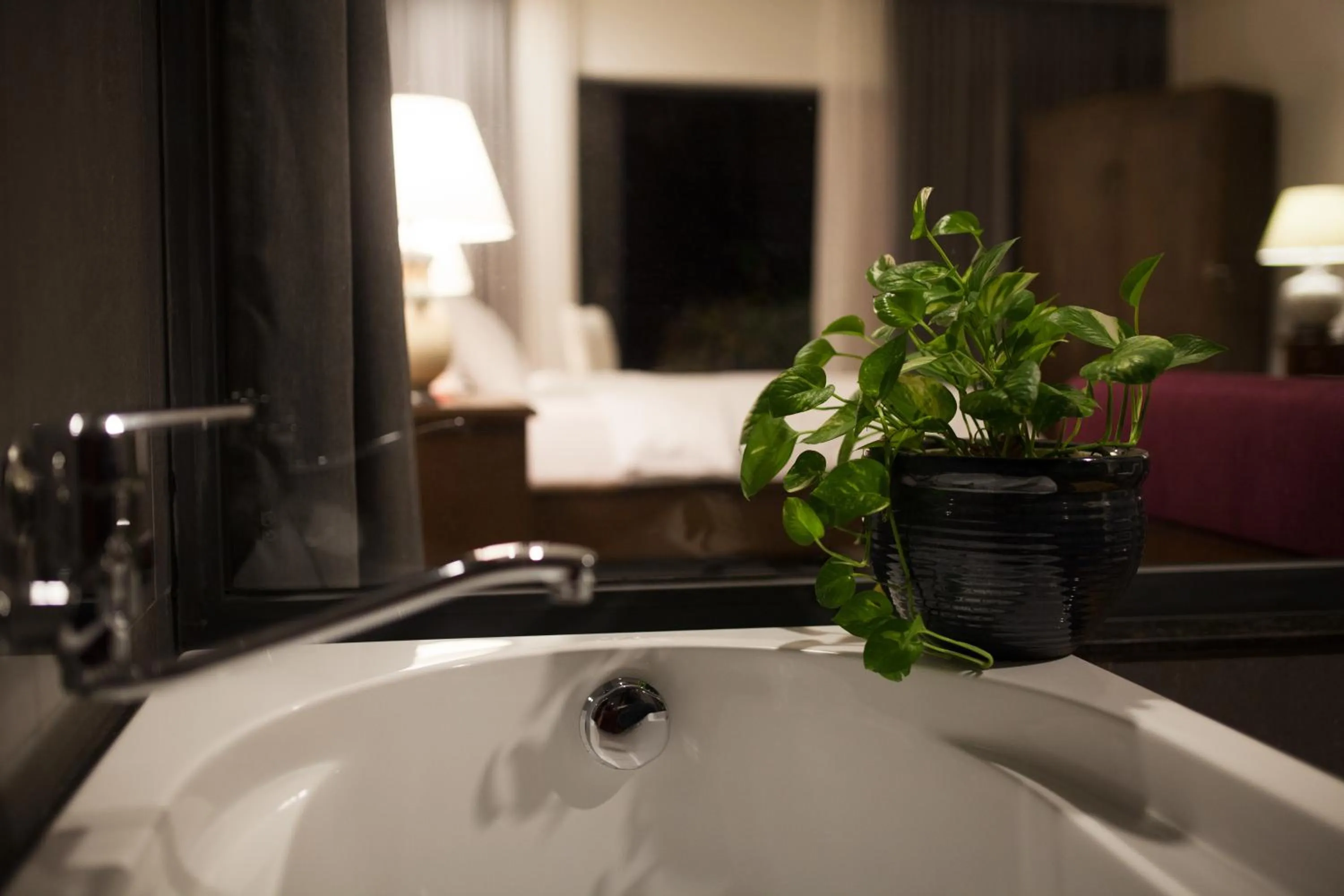 Photo of the whole room in Dan Oasis Hotel and Apartment