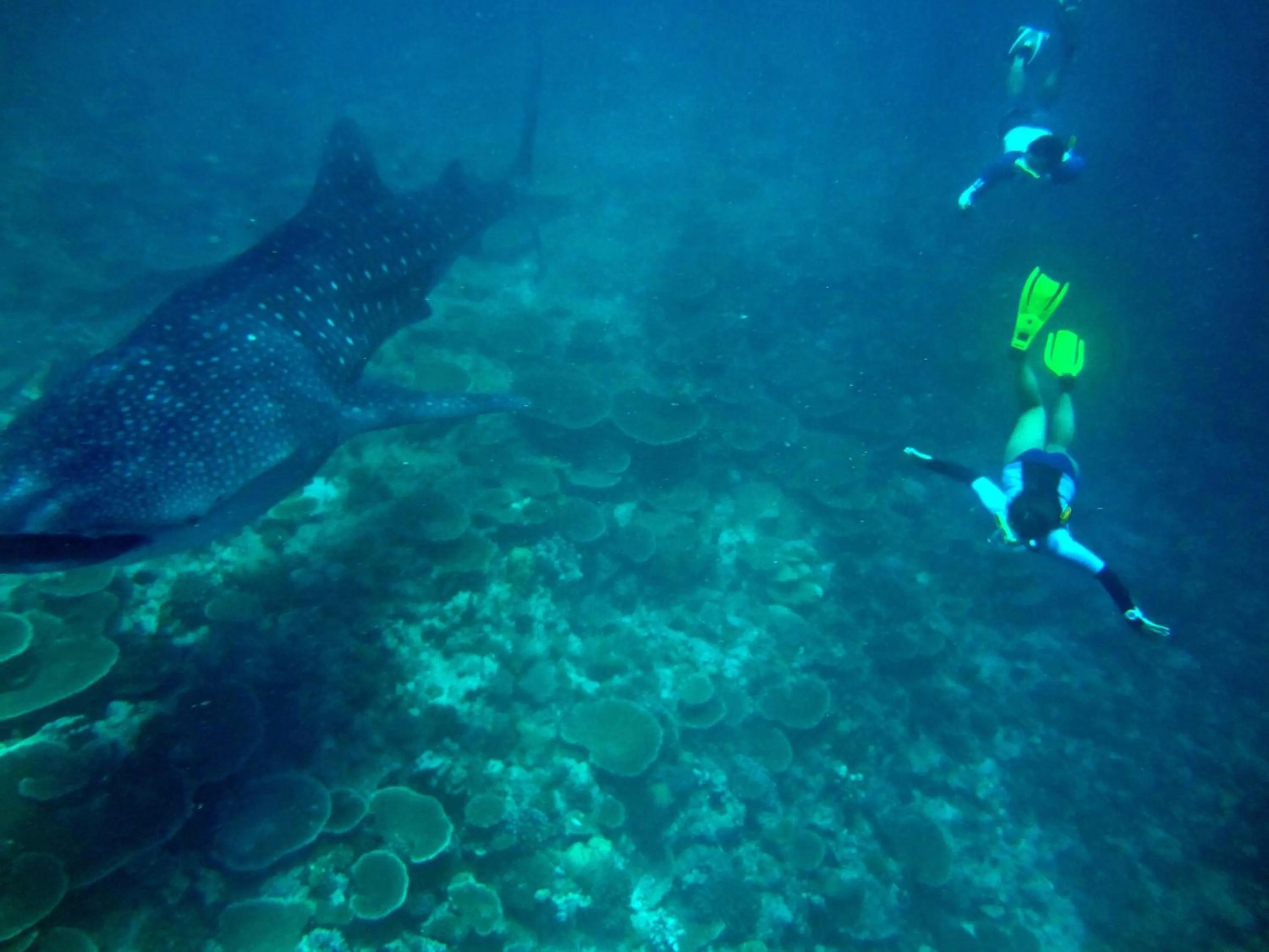 Other in Koimala Hotel