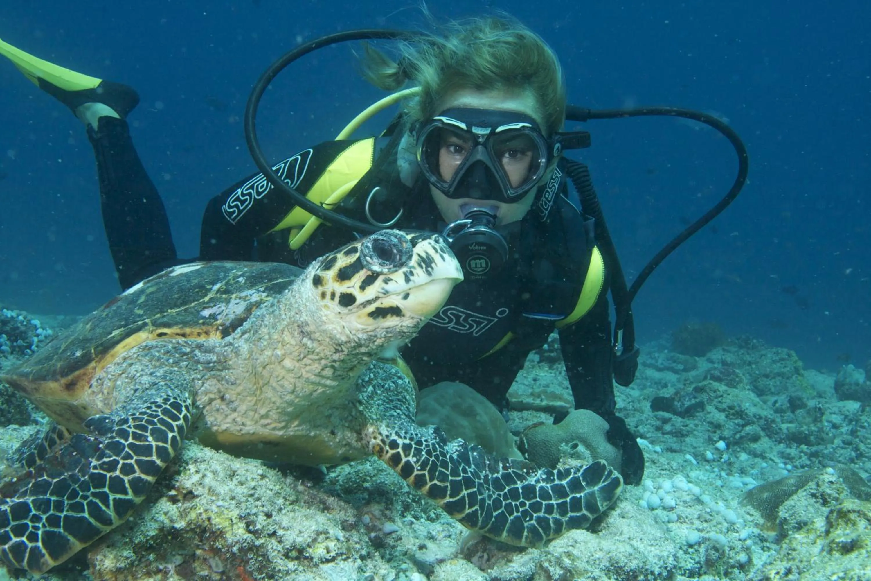 Diving in Koimala Hotel