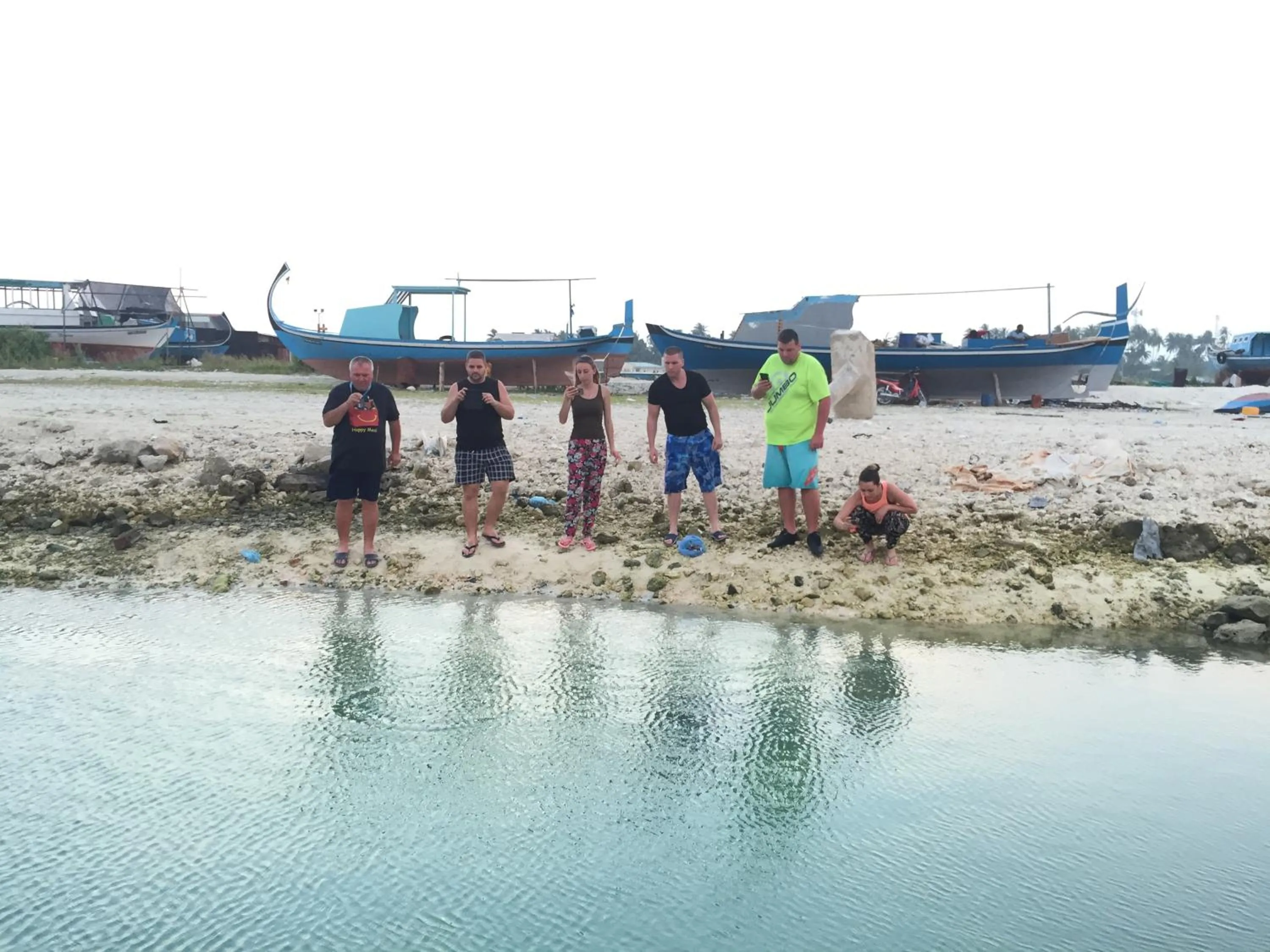 Animals in Koimala Hotel