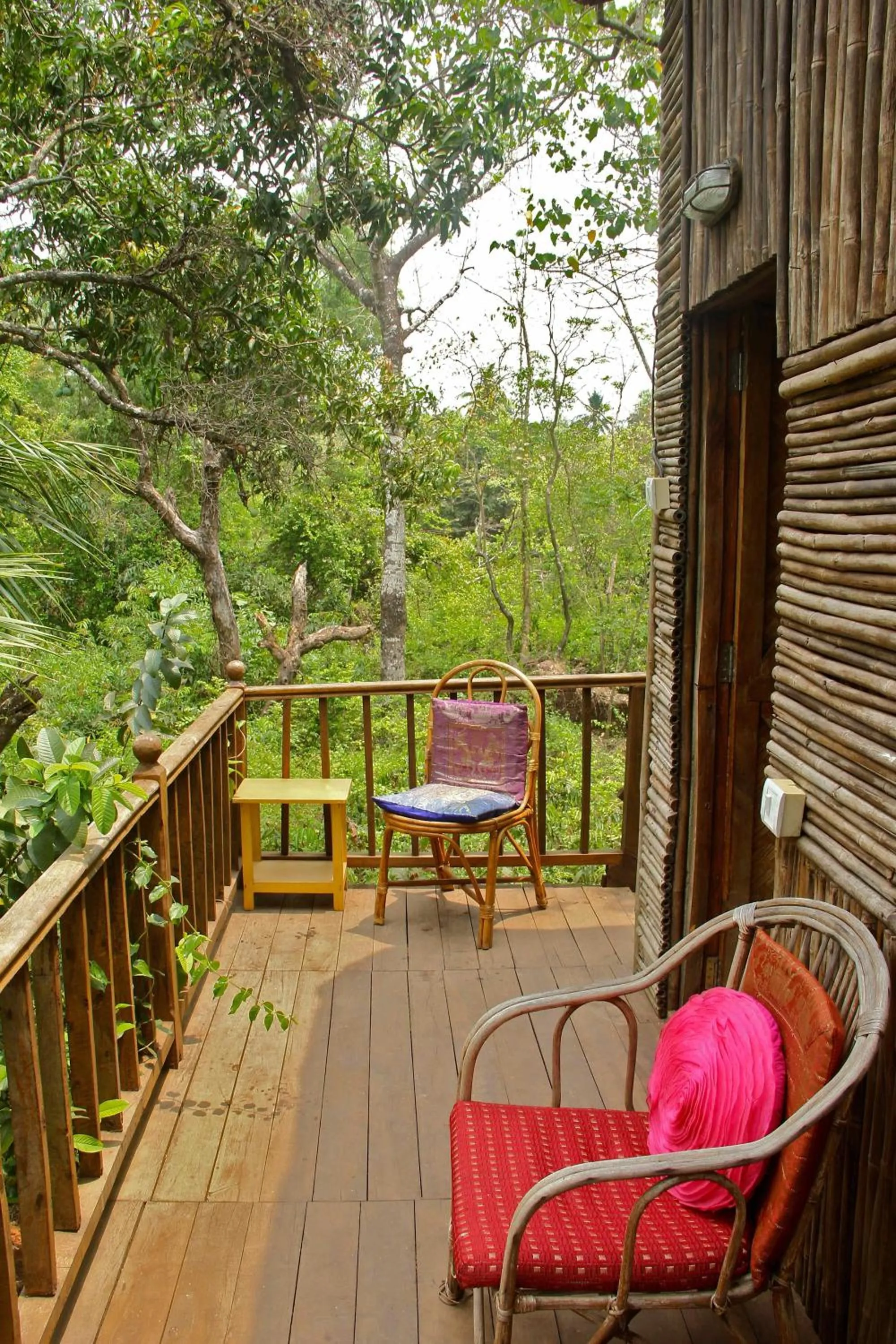 Day in Michèle's Garden