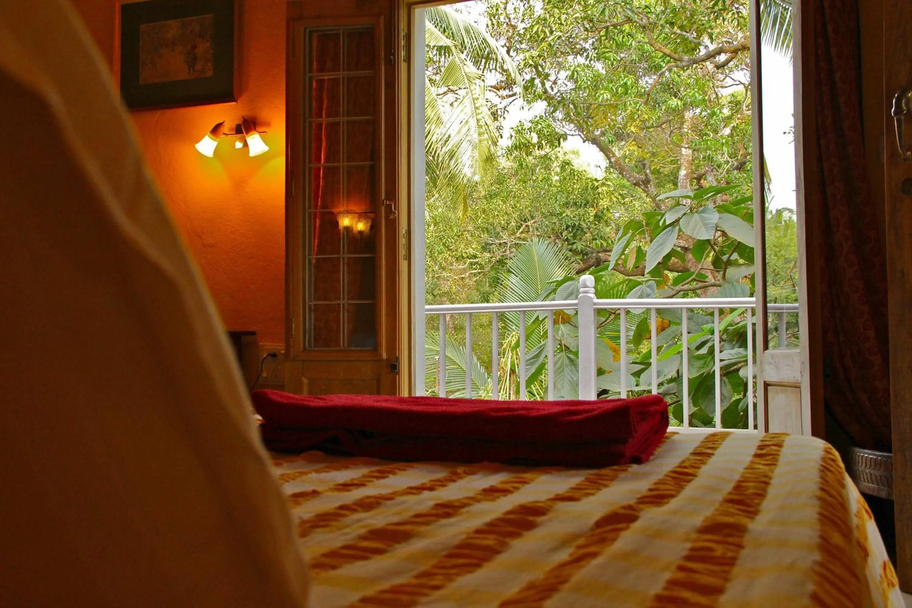 Day, Bed in Michèle's Garden