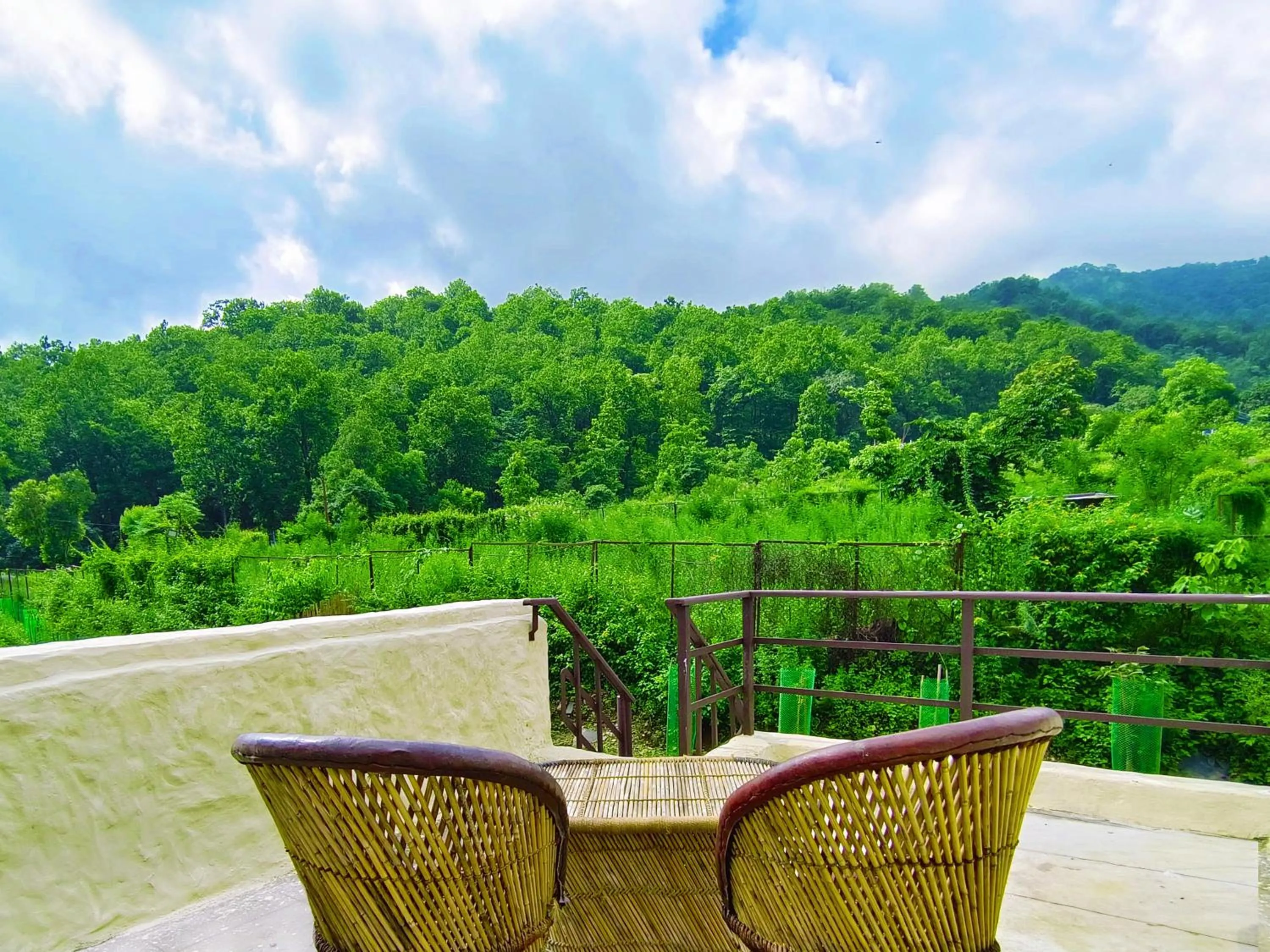 View (from property/room) in Paatlidun Safari Lodge, Jim Corbett