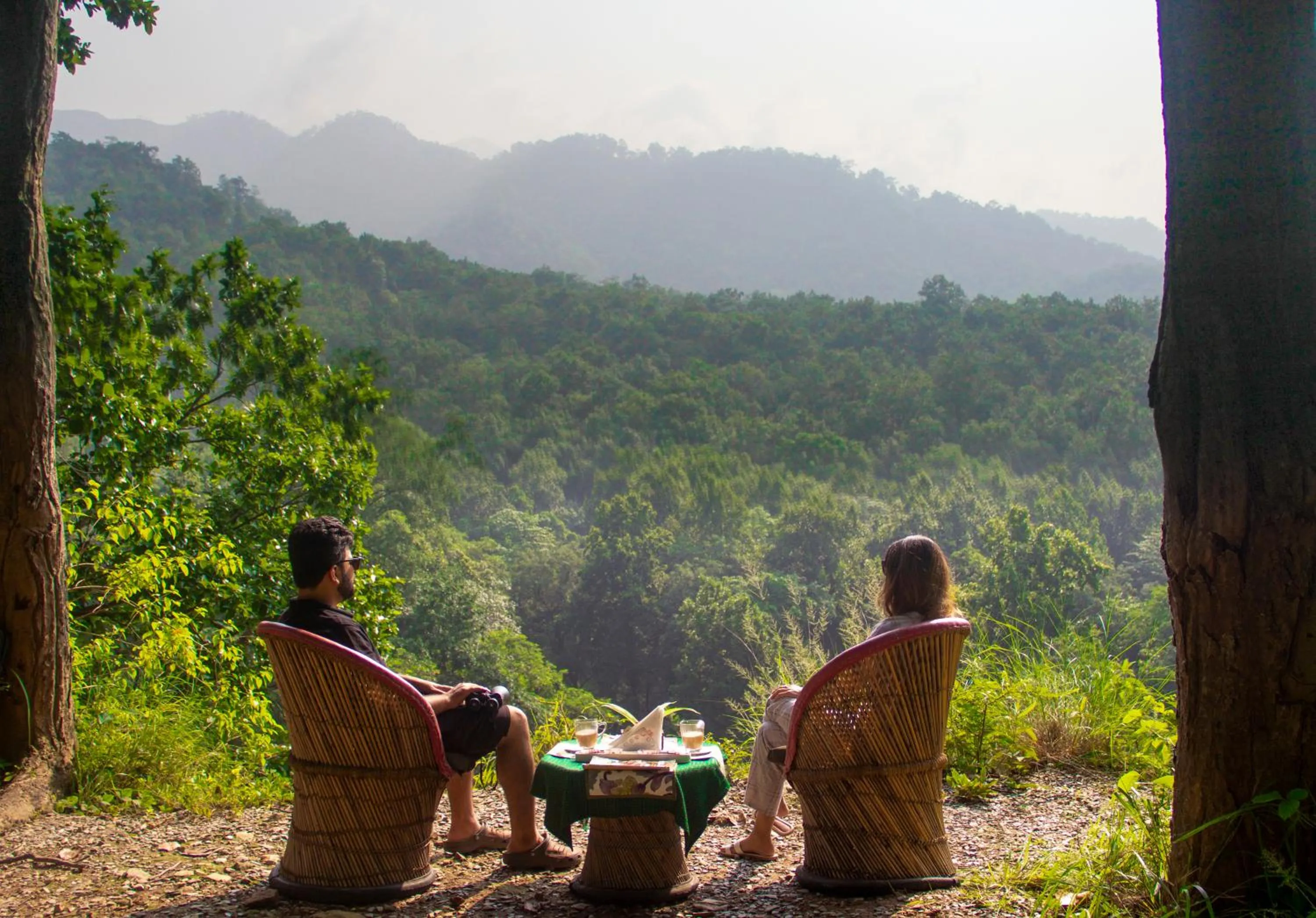Natural landscape in Paatlidun Safari Lodge, Jim Corbett