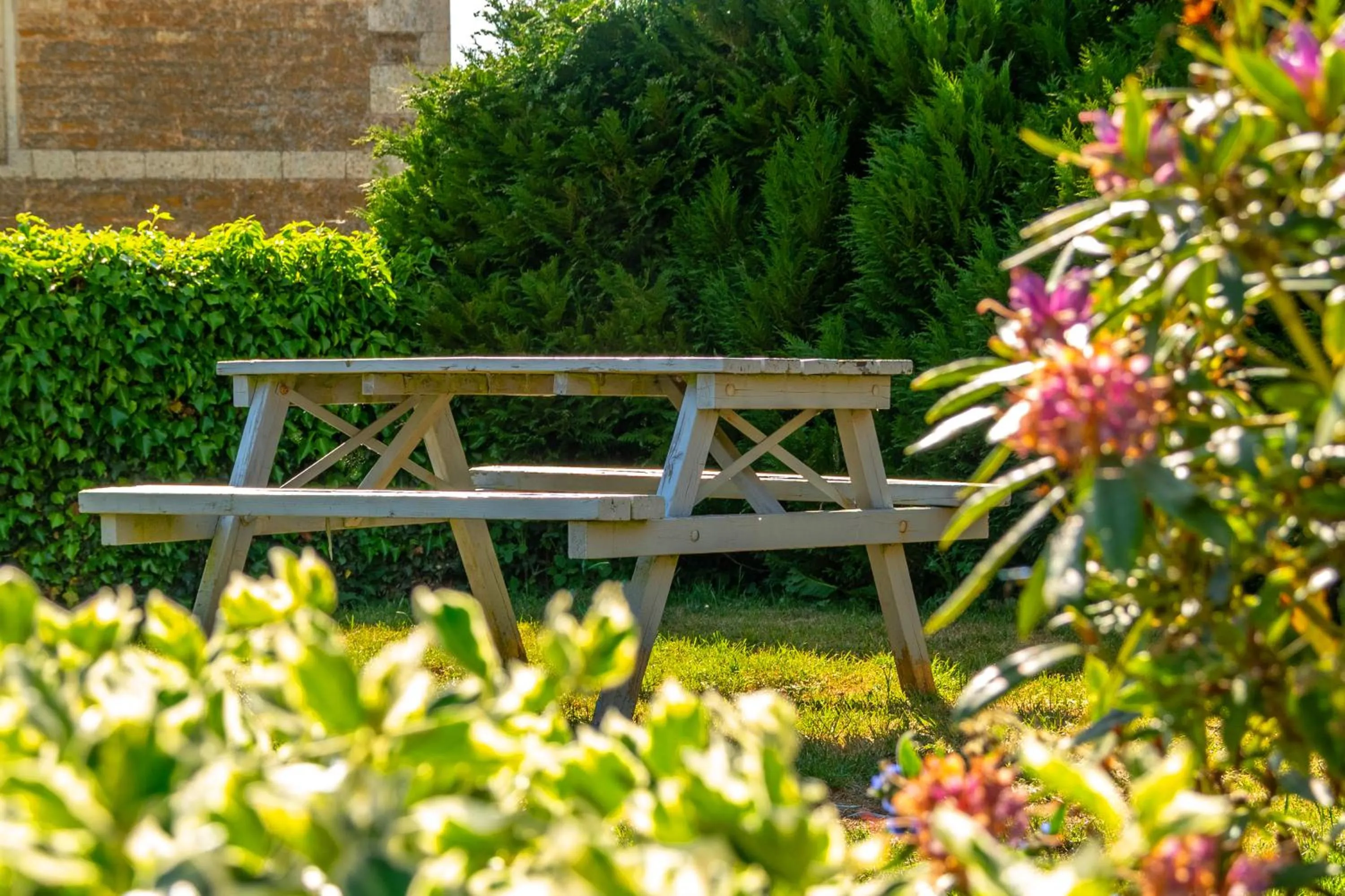 Garden in The Old Pheasant