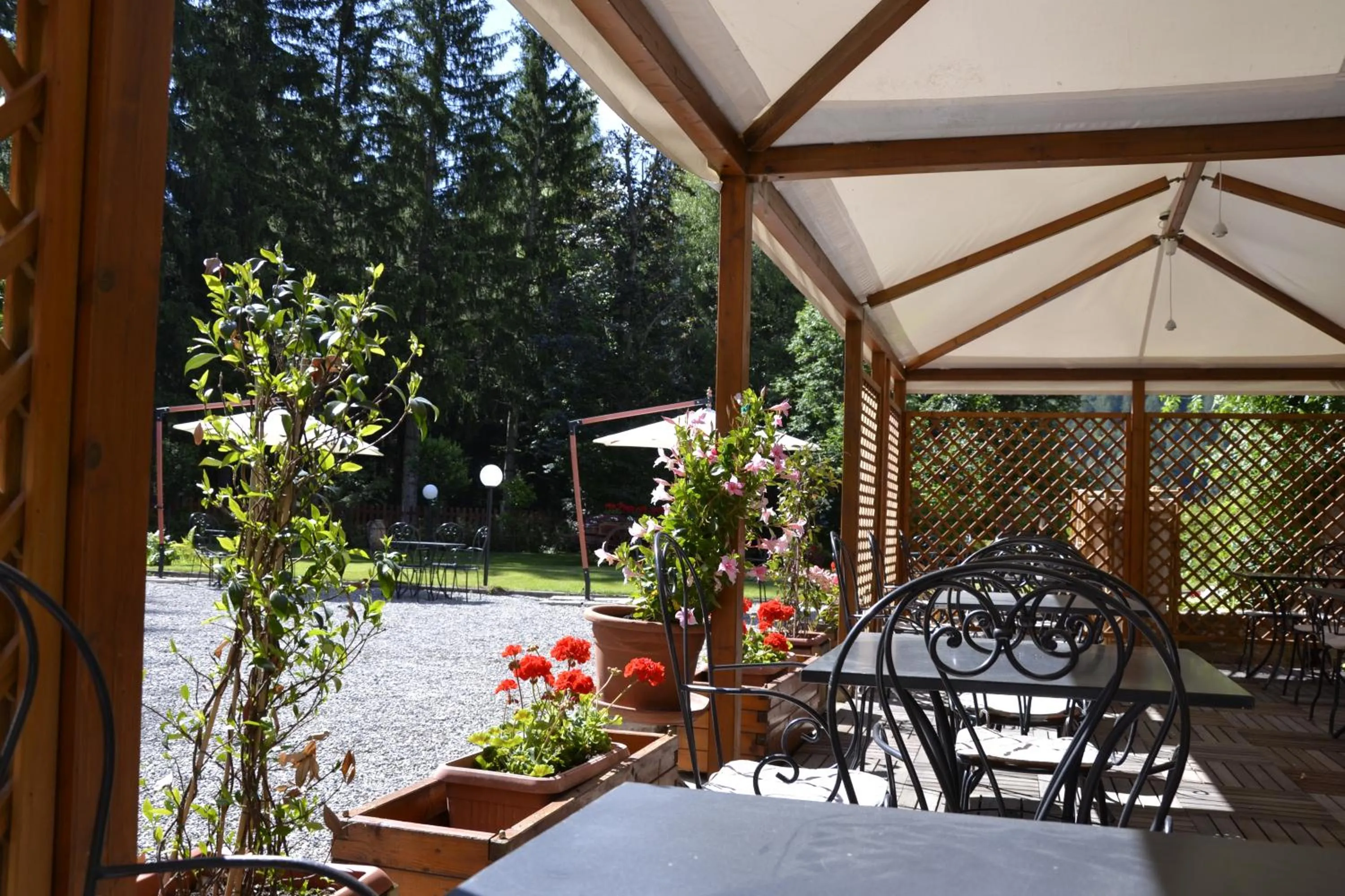 Garden in Hotel Bucaneve
