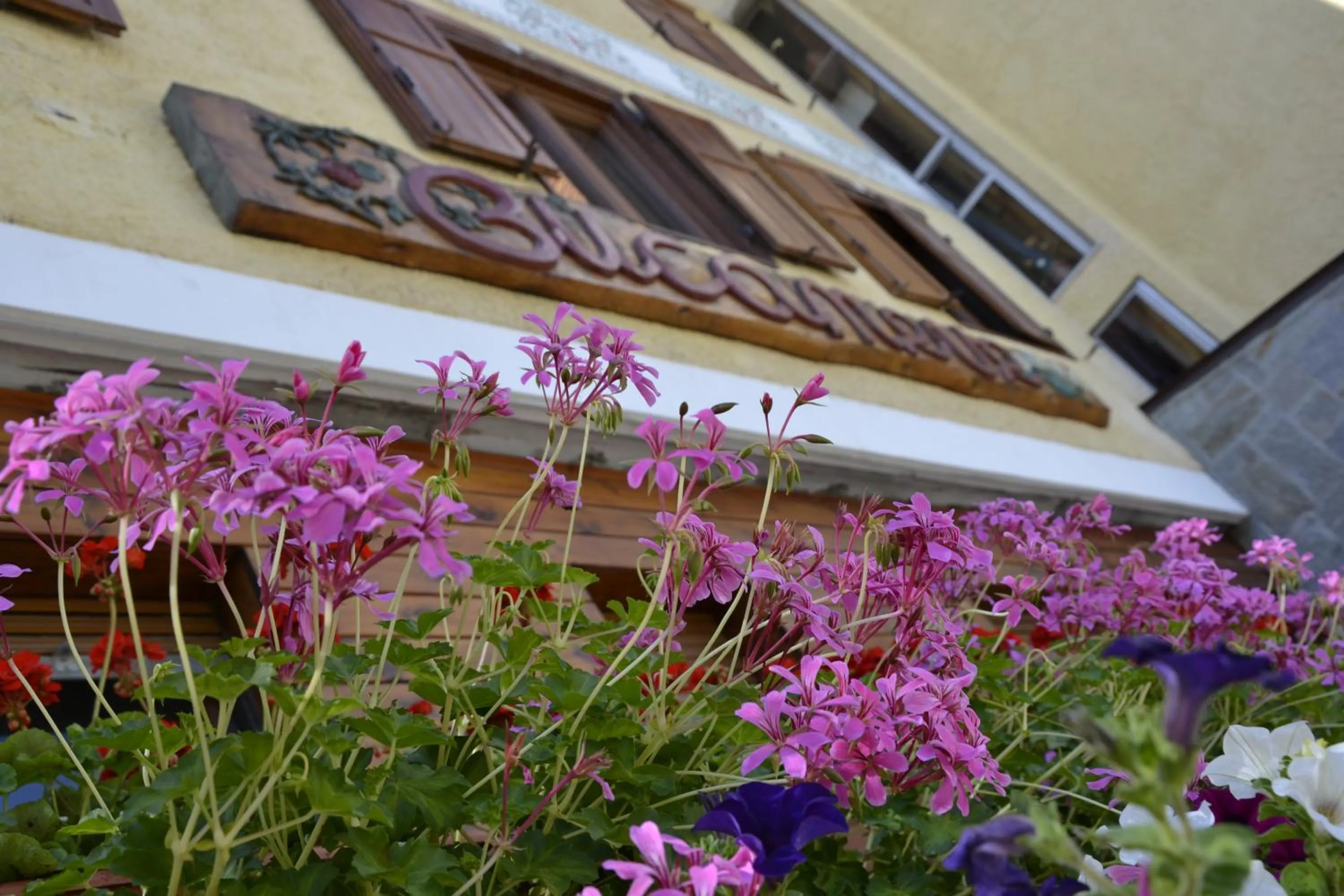 Property logo or sign in Hotel Bucaneve