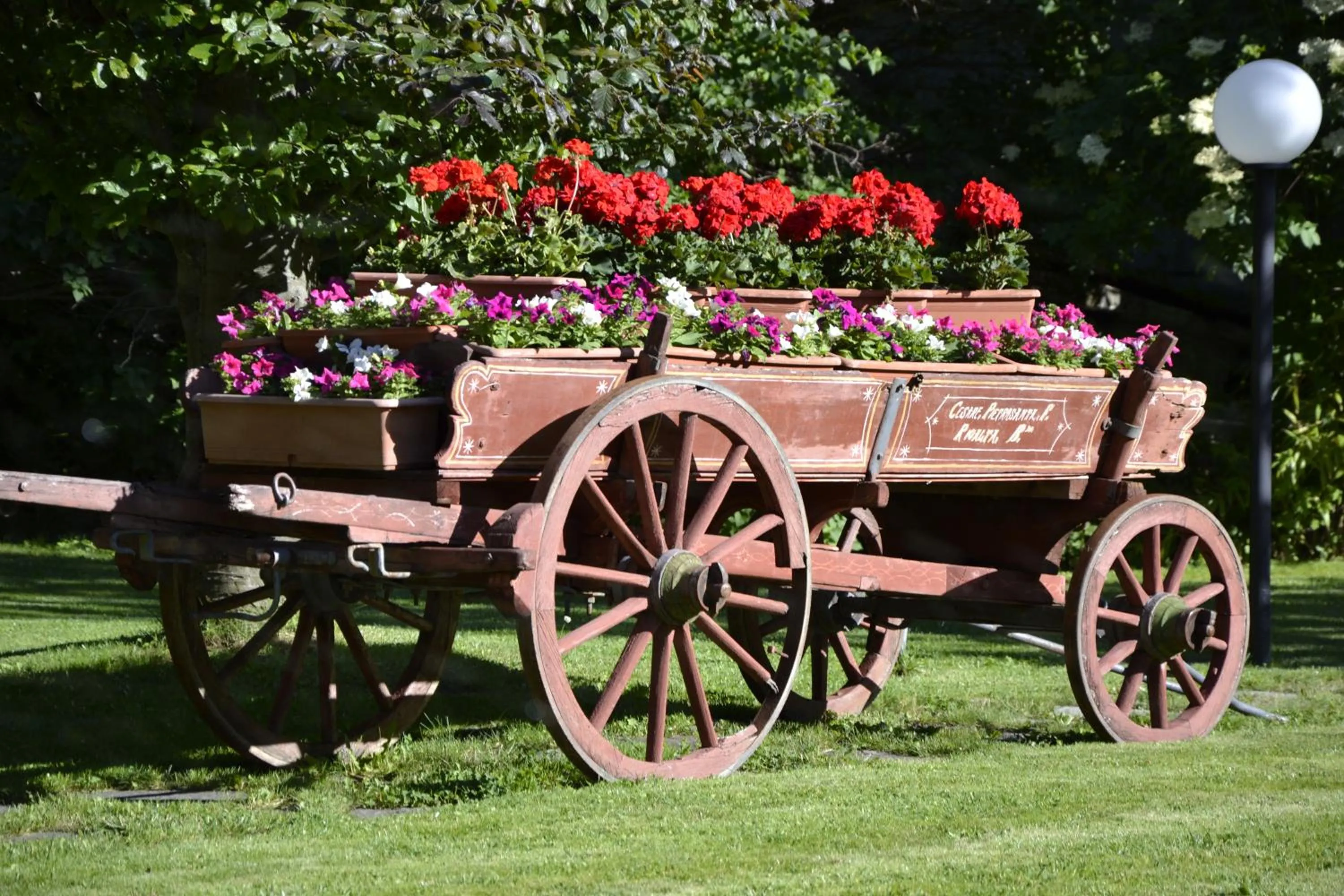 Garden in Hotel Bucaneve