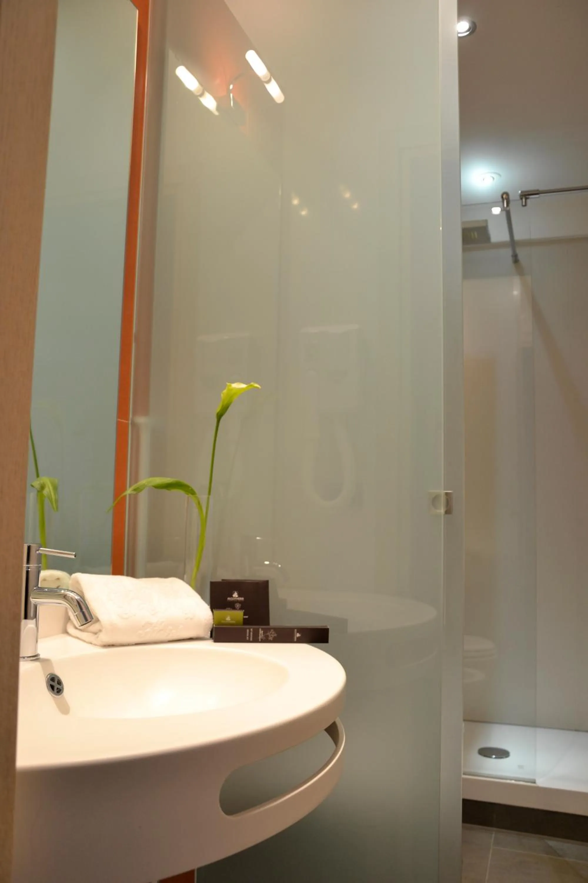 Bathroom in Hotel Bucaneve