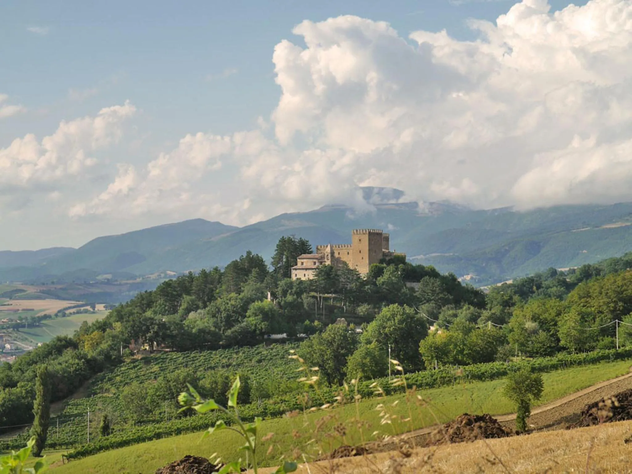 Area and facilities in Locanda dell'Istrice