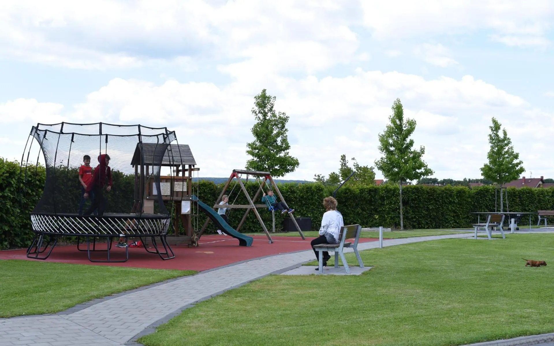 Hotel Harmony Medical & Wellness-Free Parking, 1,8km from the center