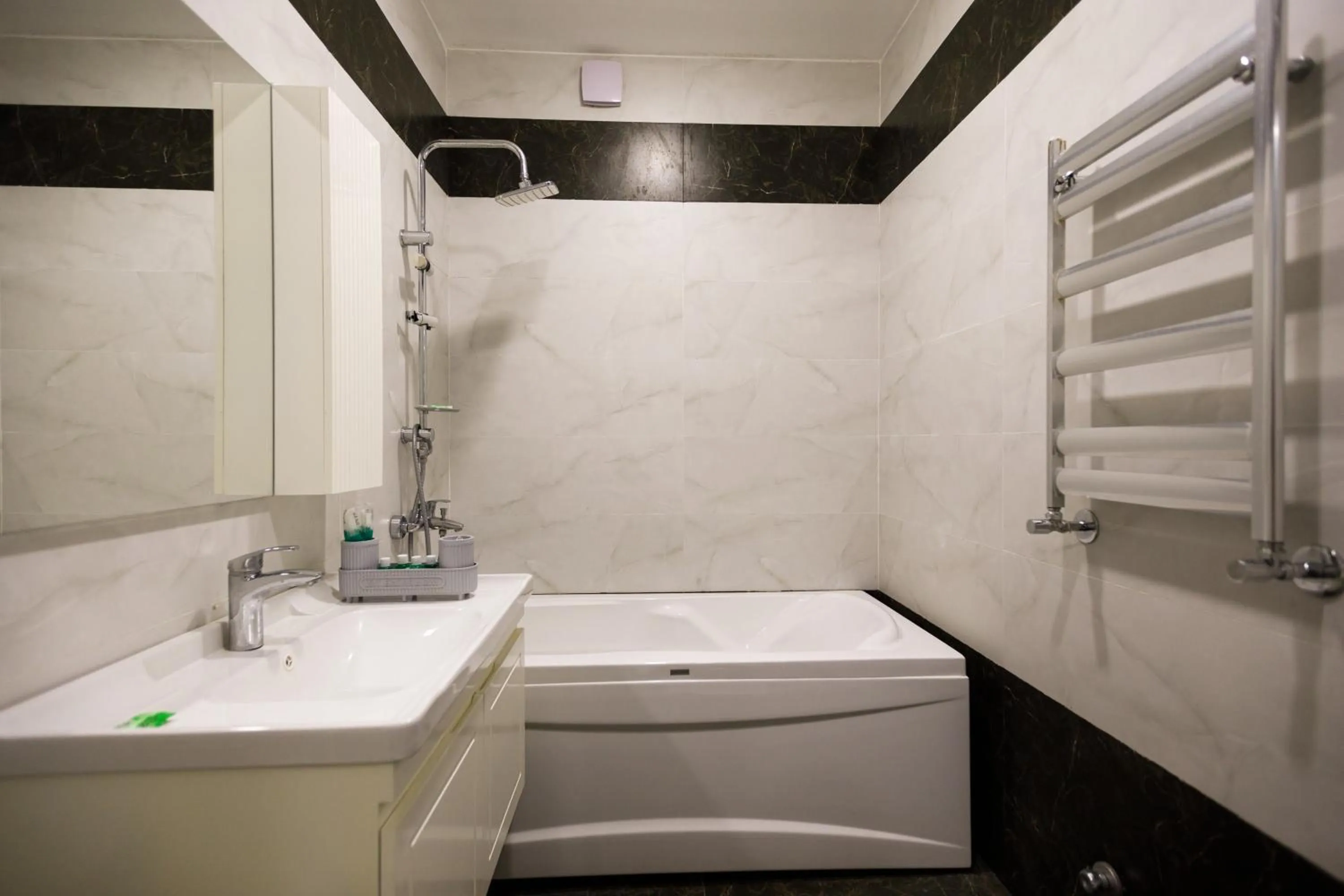 Shower in Royal Meridien Hotel