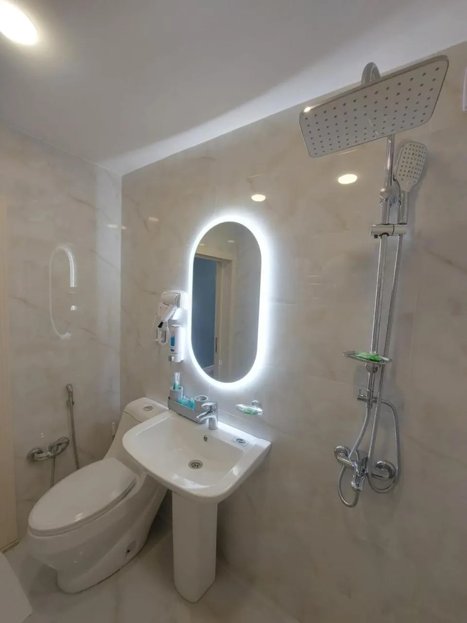 Shower in Royal Meridien Hotel