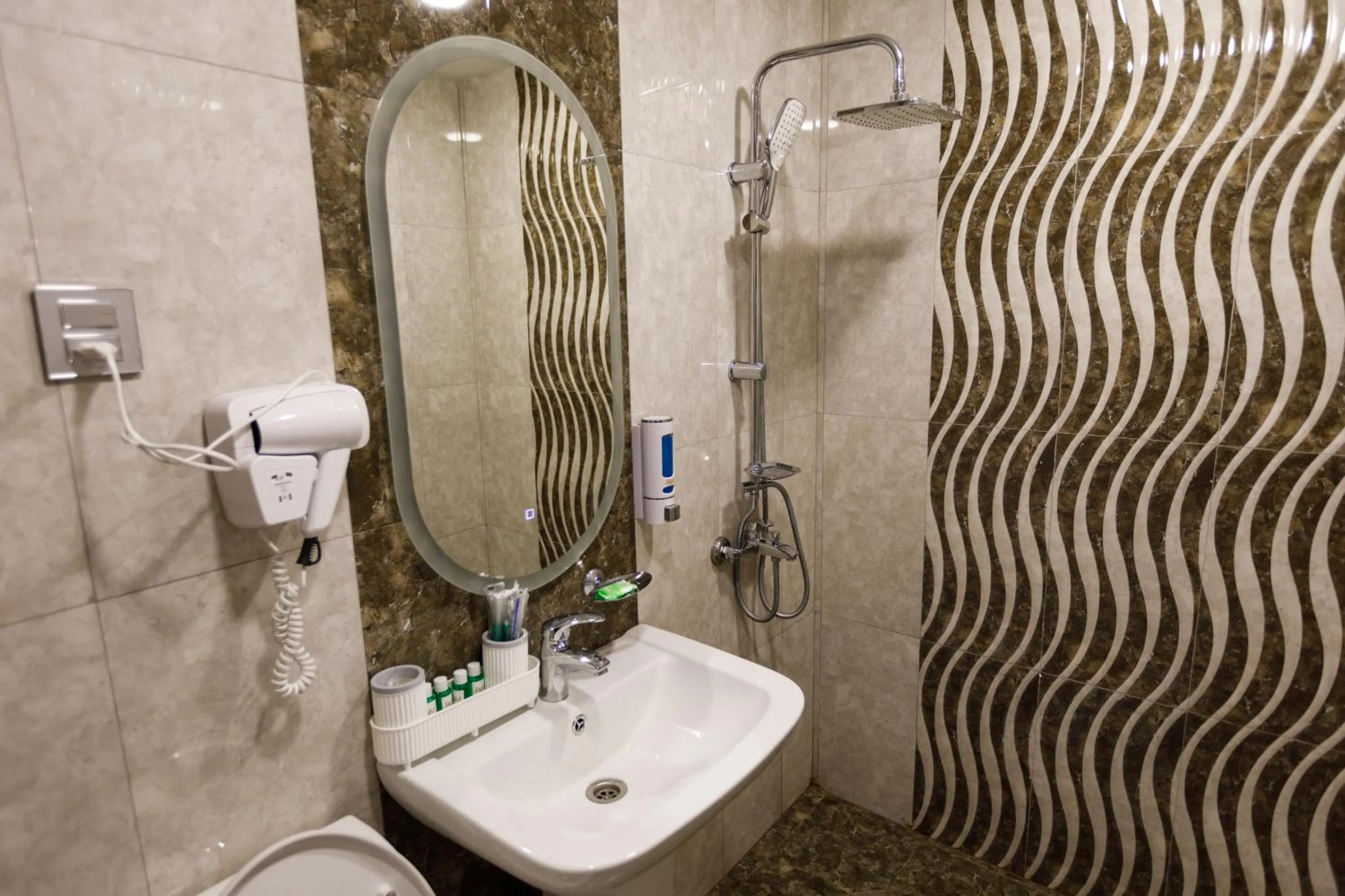 Shower in Royal Meridien Hotel