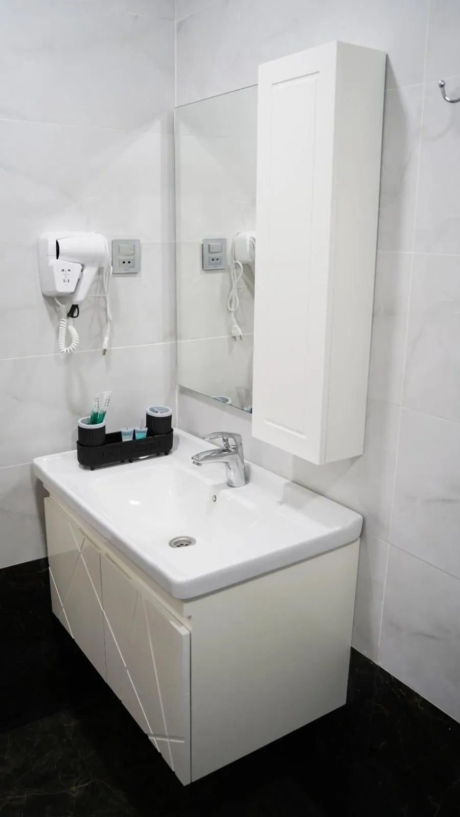 hair dryier in Royal Meridien Hotel