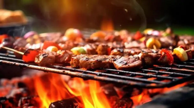 BBQ facilities in Royal Meridien Hotel