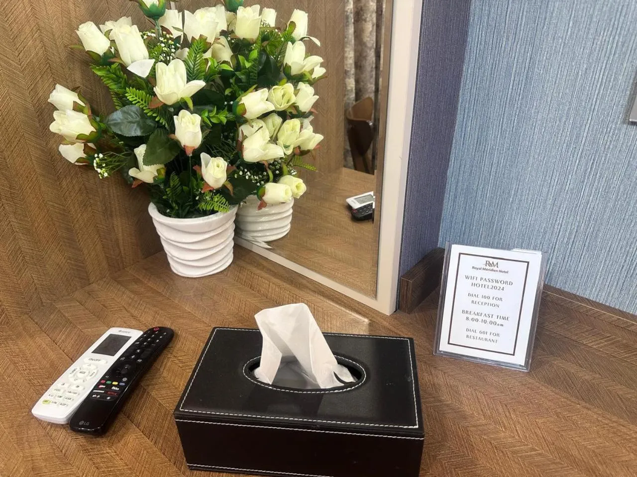 Area and facilities in Royal Meridien Hotel