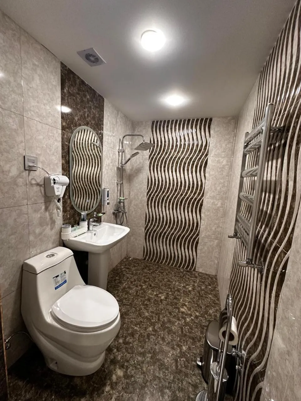 hair dryier in Royal Meridien Hotel