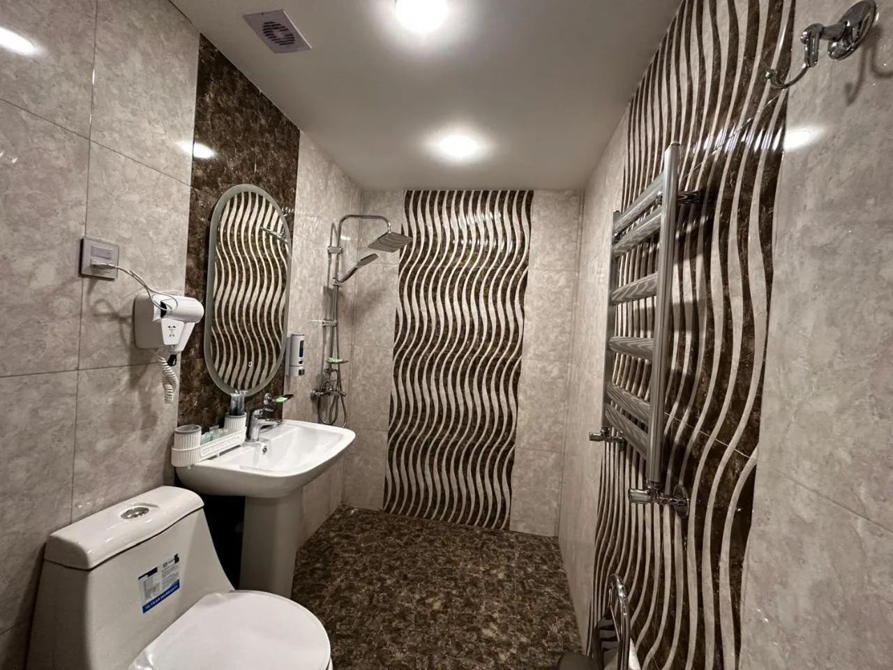 Shower in Royal Meridien Hotel