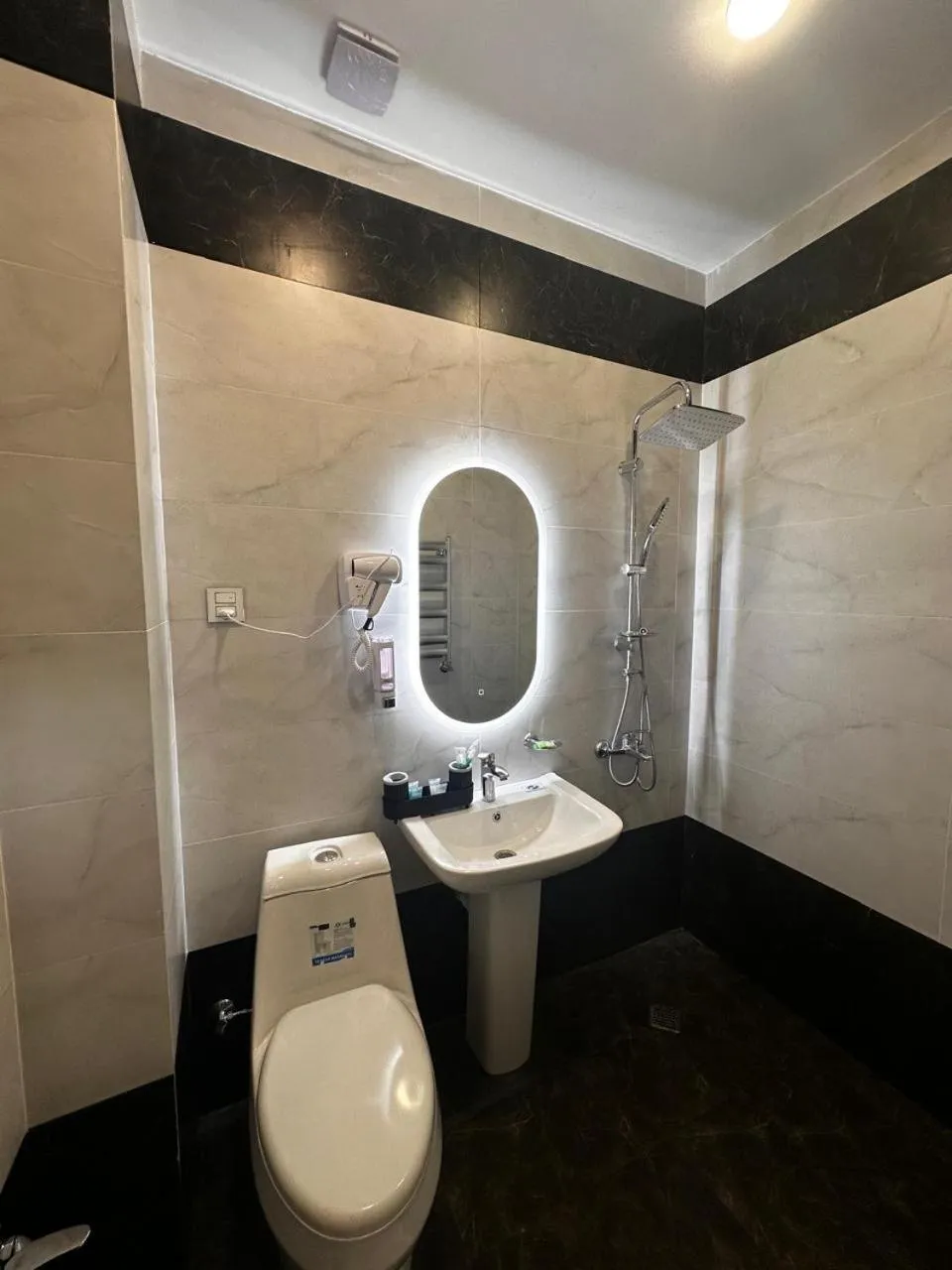 Shower in Royal Meridien Hotel