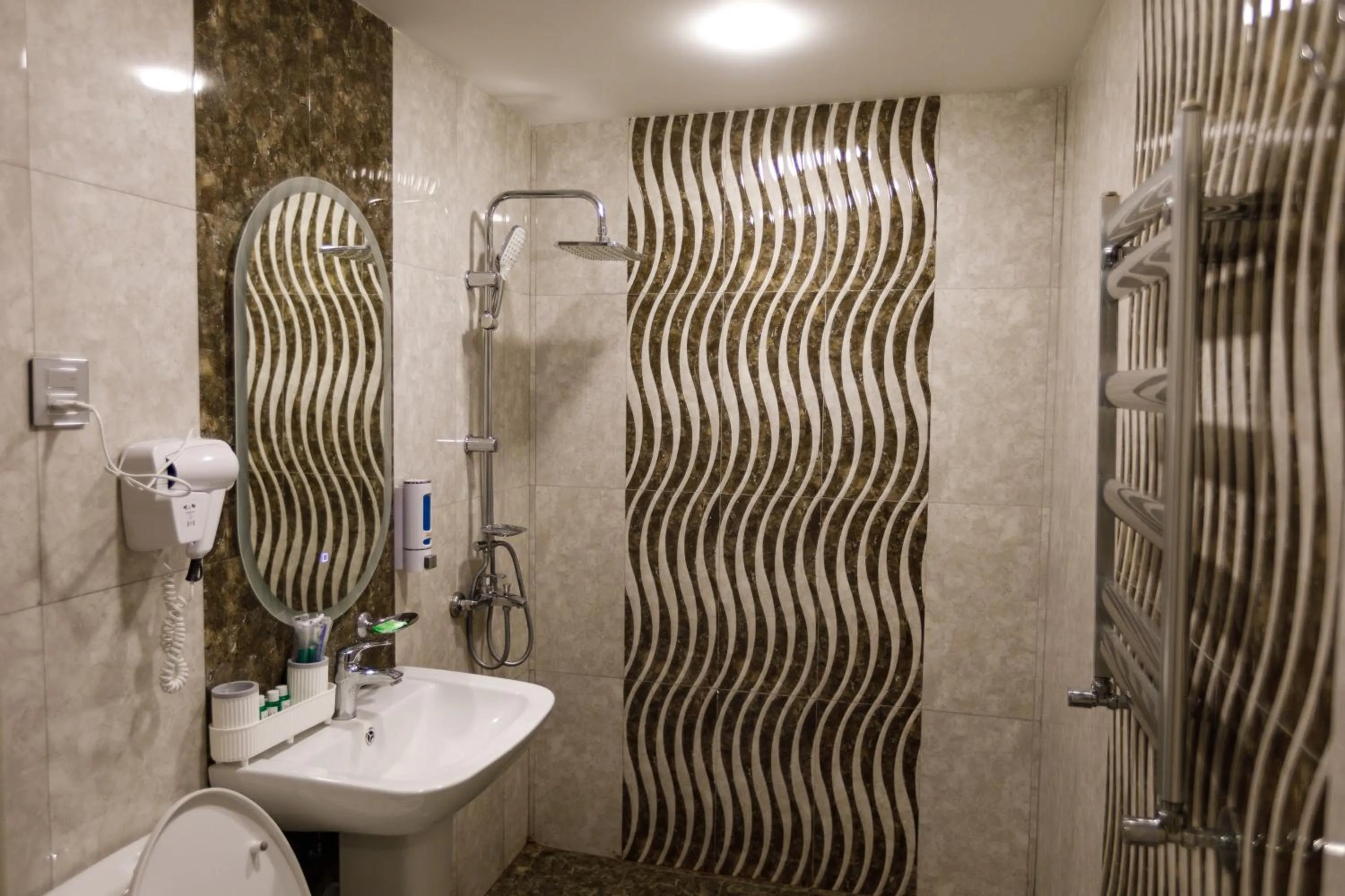 Shower in Royal Meridien Hotel