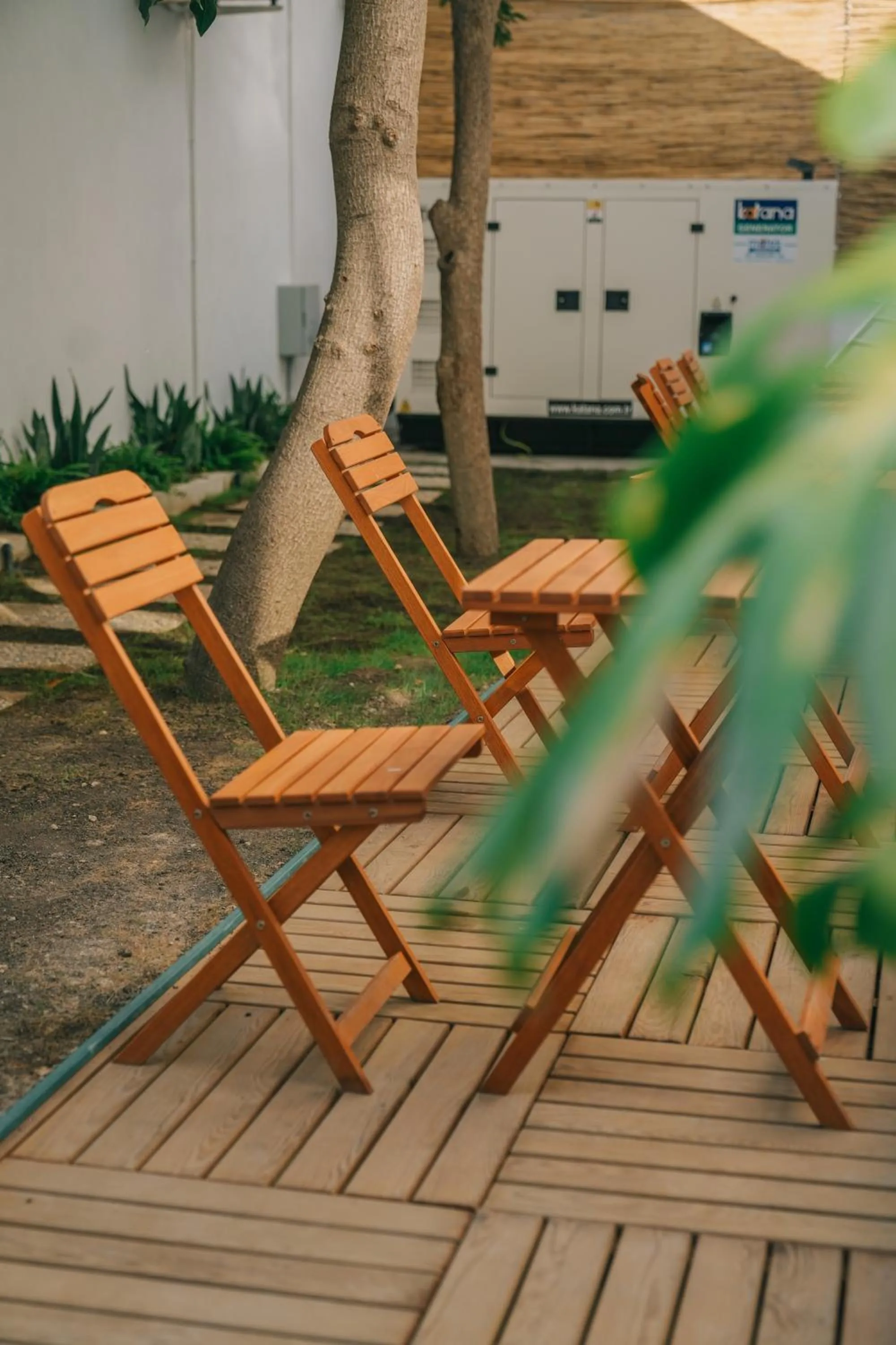 Garden in Nephos Beach Hotel