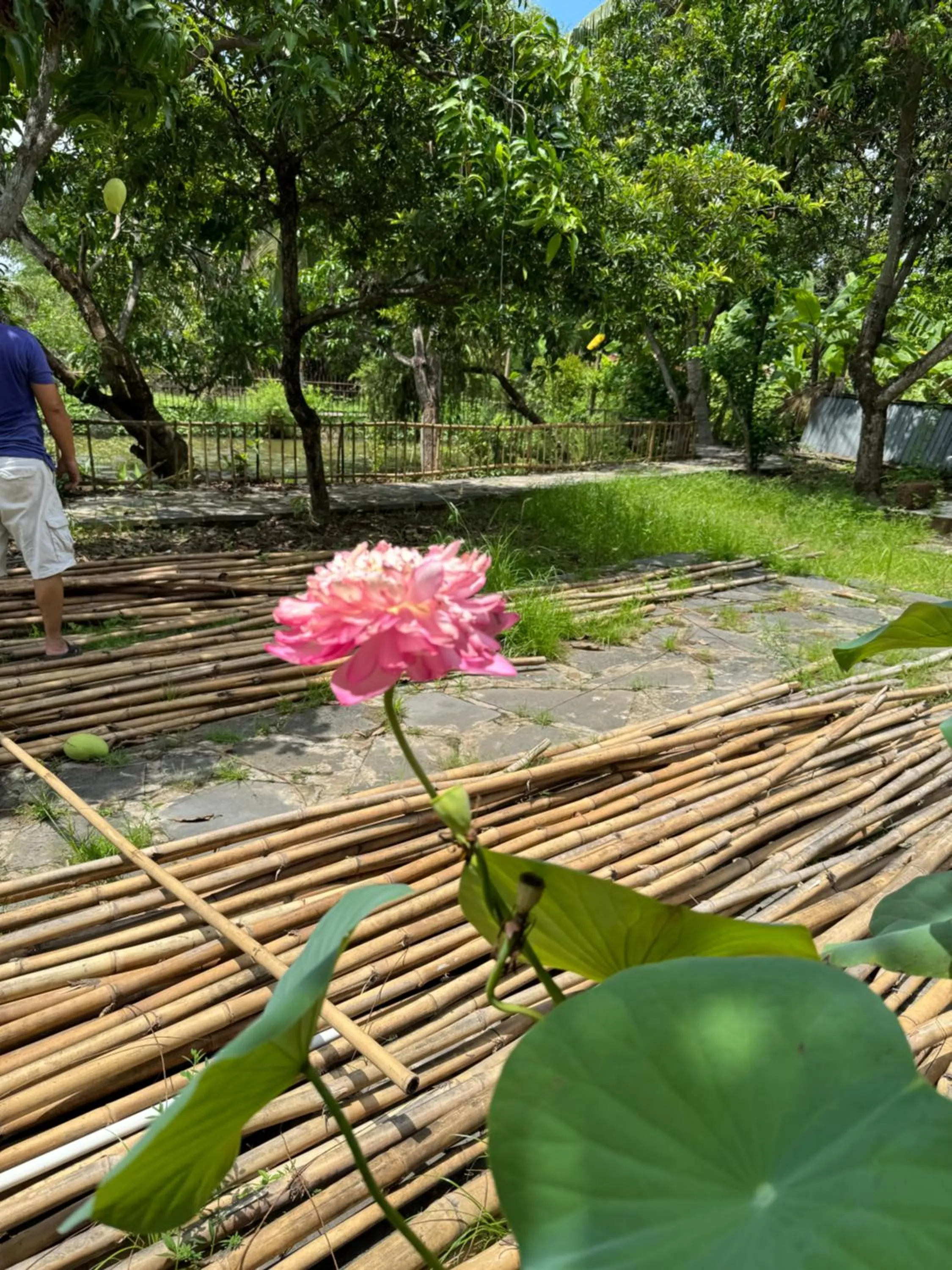 Natural landscape in Ha Long hotel