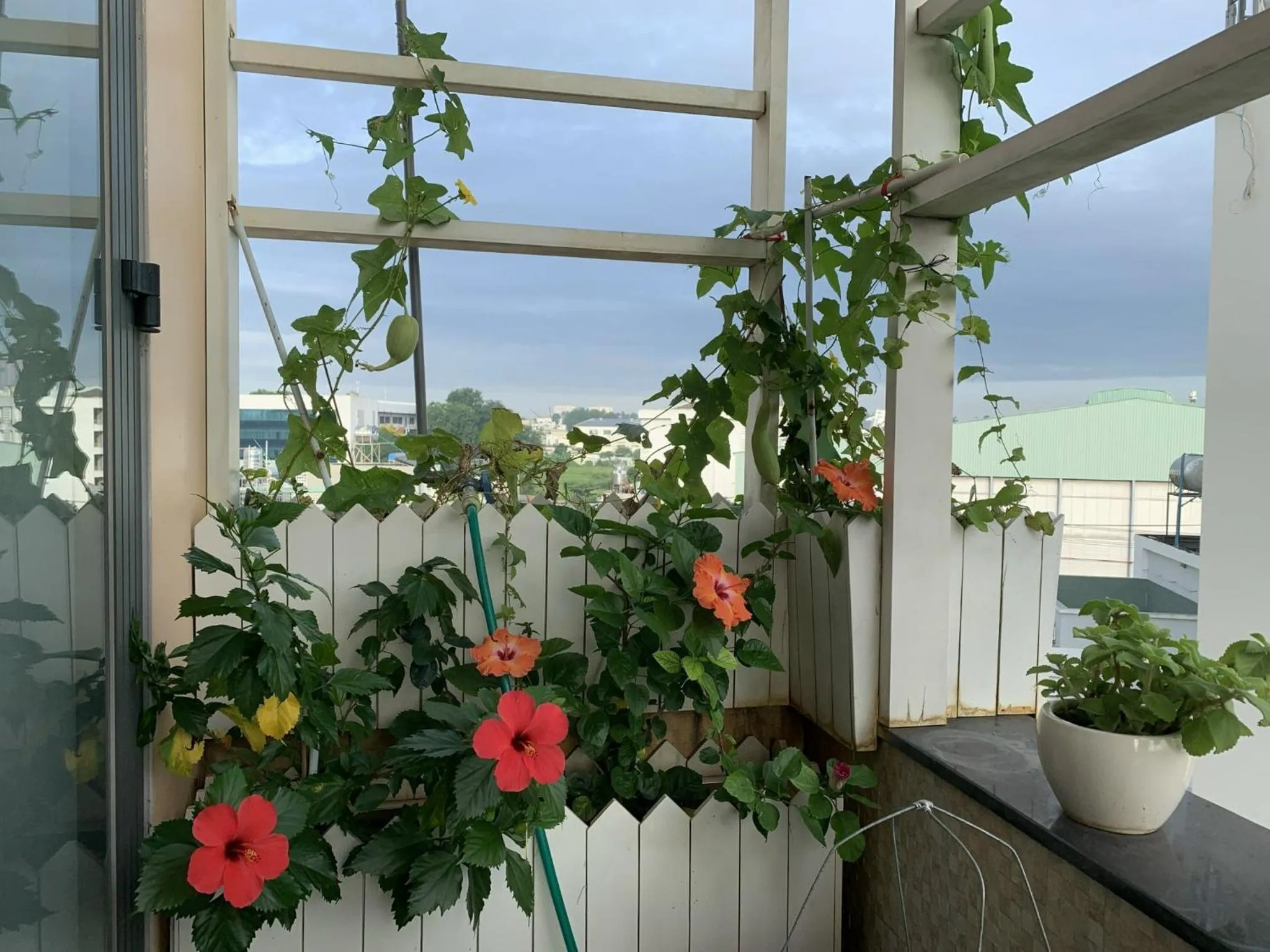 Property building in Ha Long hotel