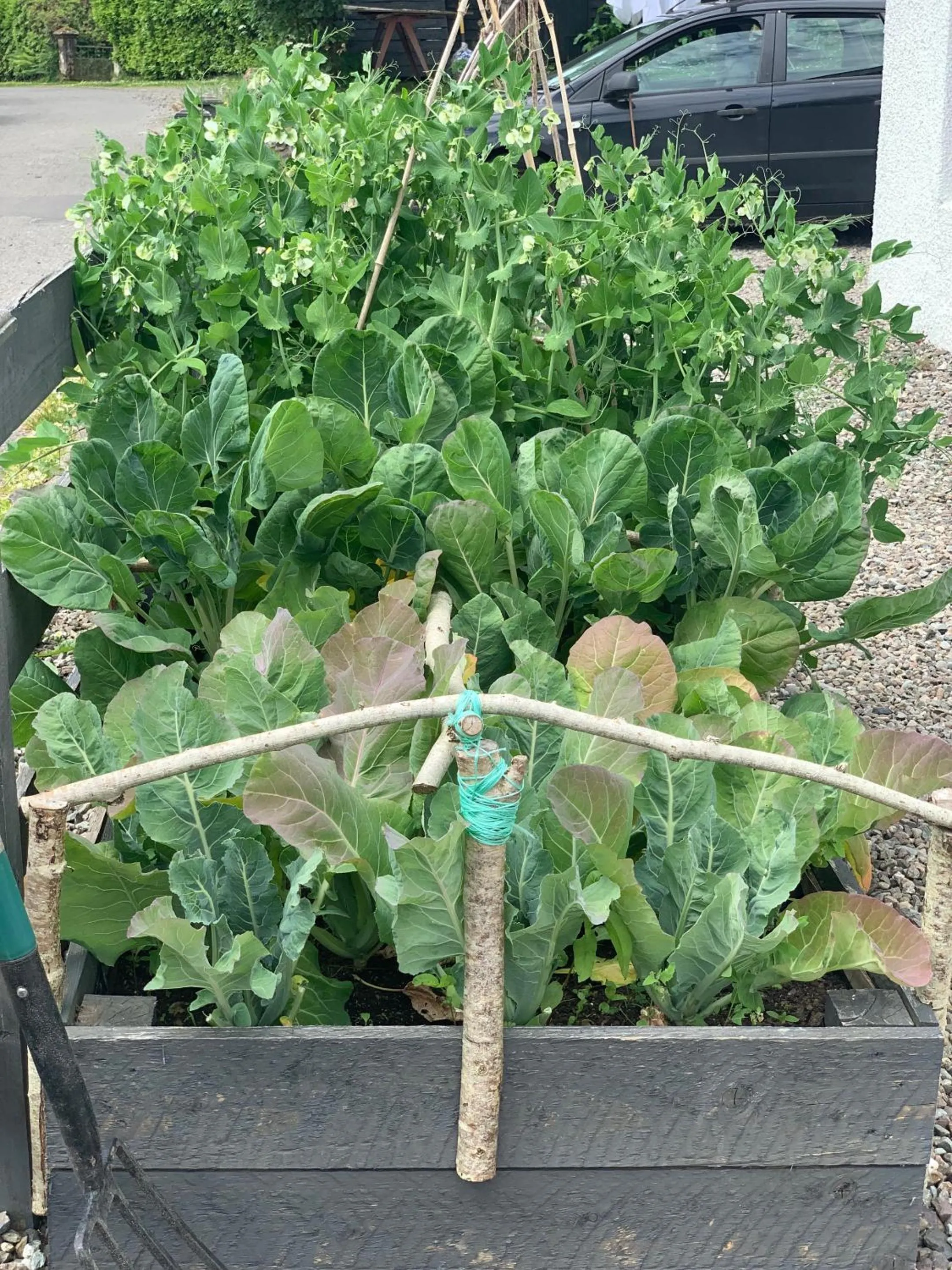 Garden in Place of architectural interest The Croft