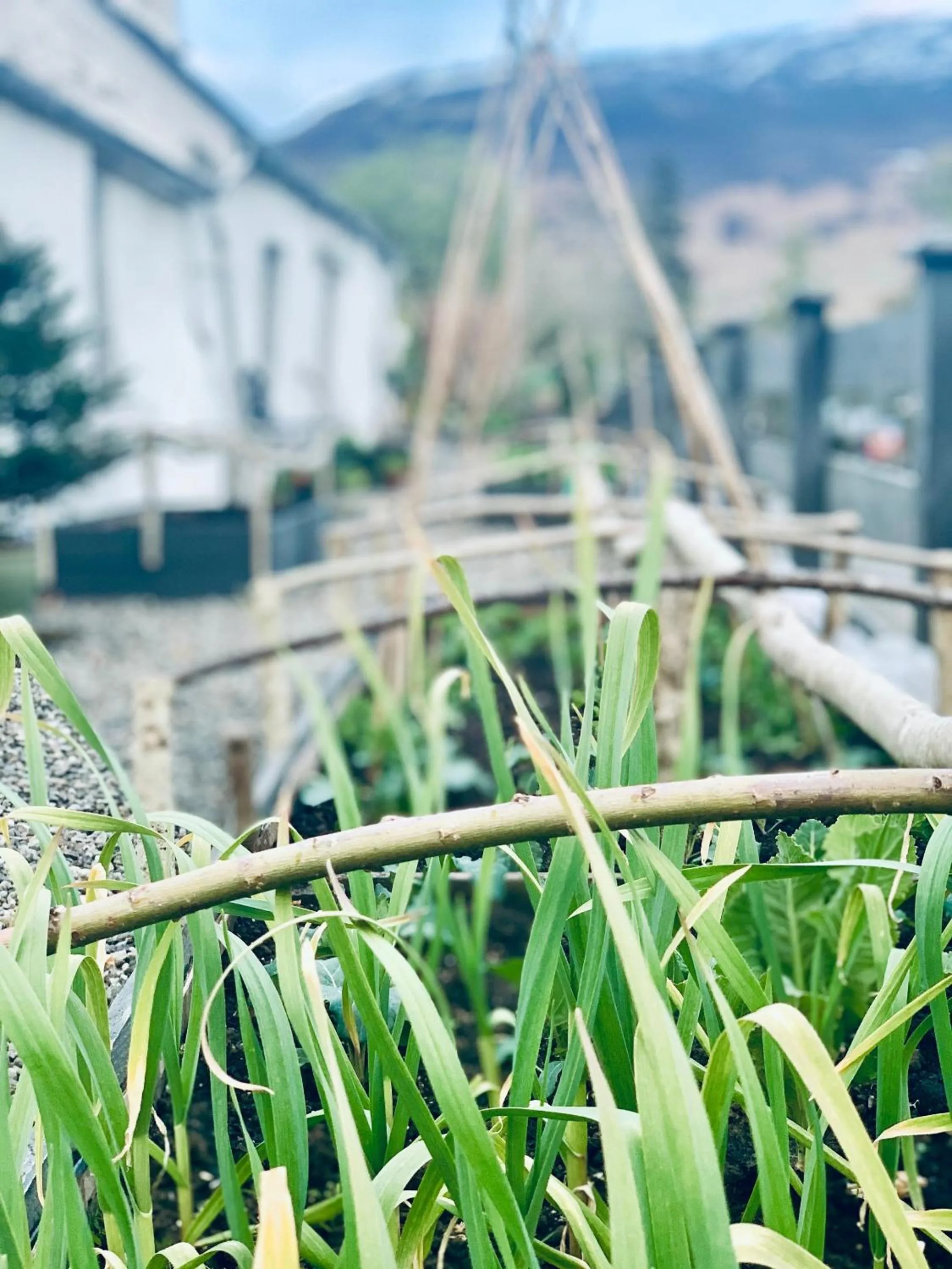 Garden in Place of architectural interest The Croft