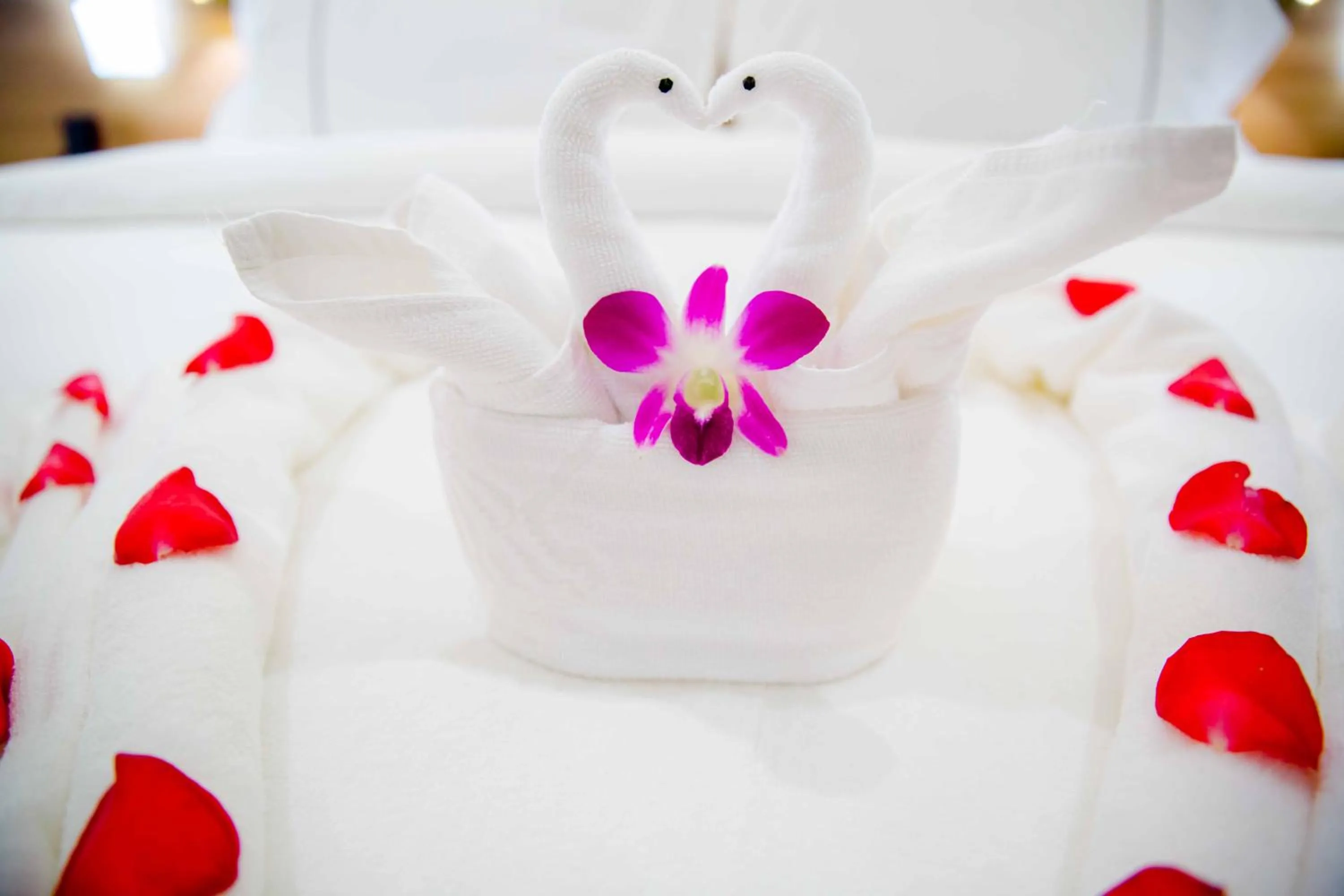 Decorative detail, Bed in Le President Hotel