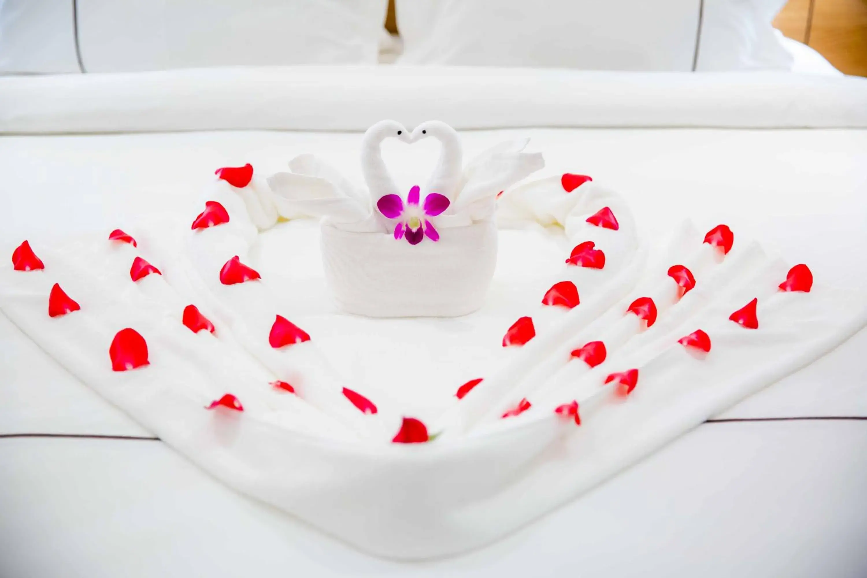 Superior Double Room in Le President Hotel Superior Double Room in Le President Hotel