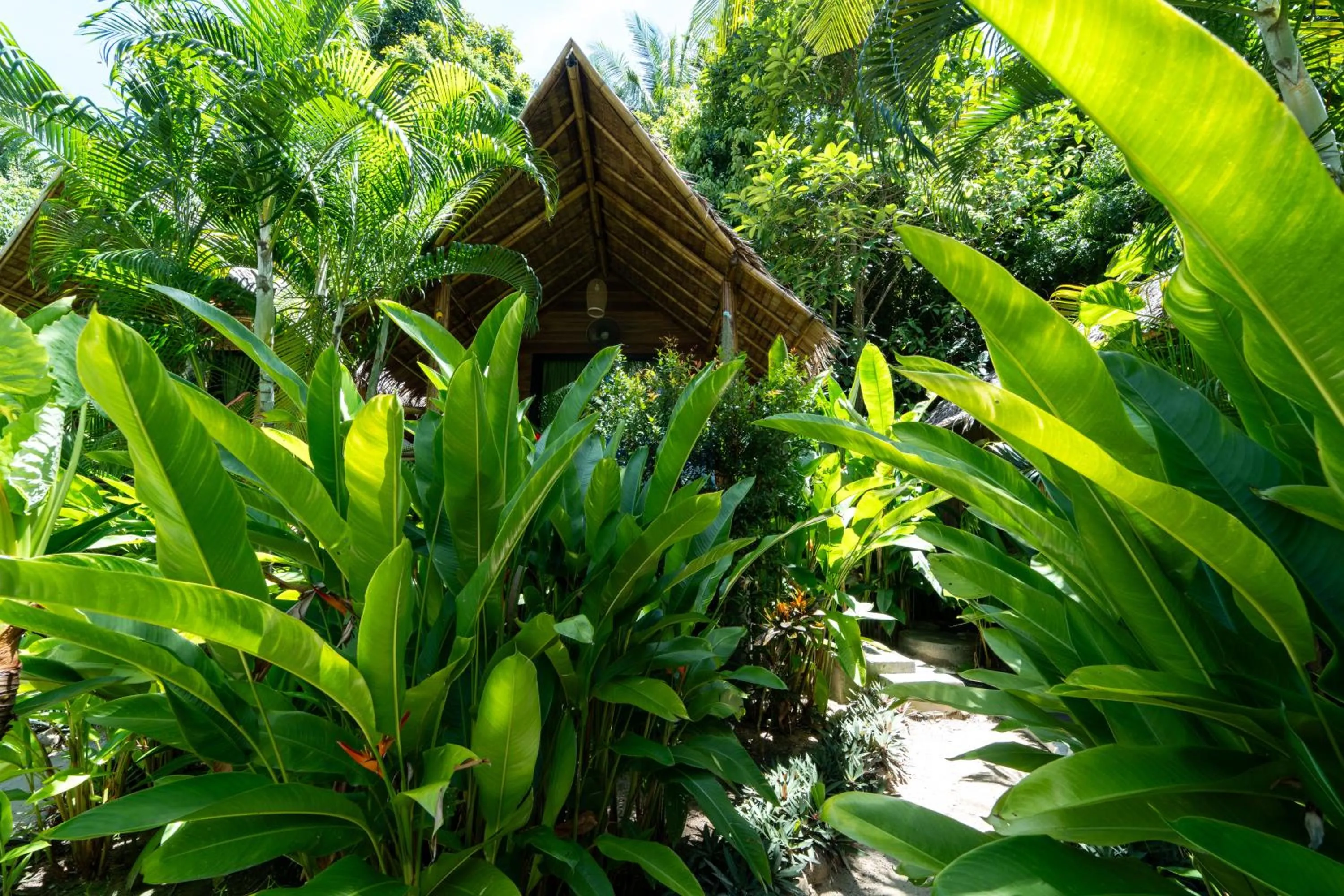 Garden in Coconut Bay Eco Resort