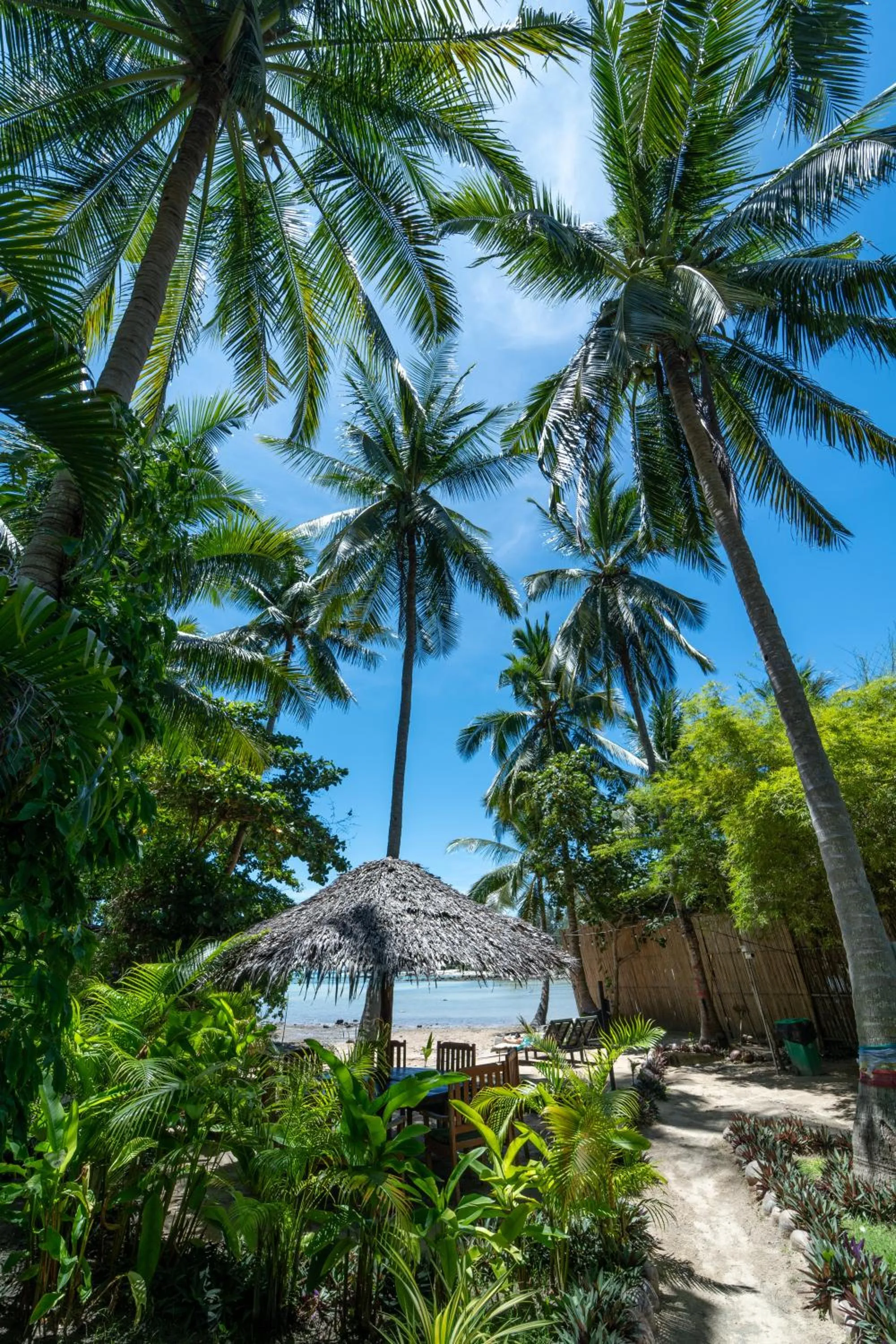 Garden in Coconut Bay Eco Resort