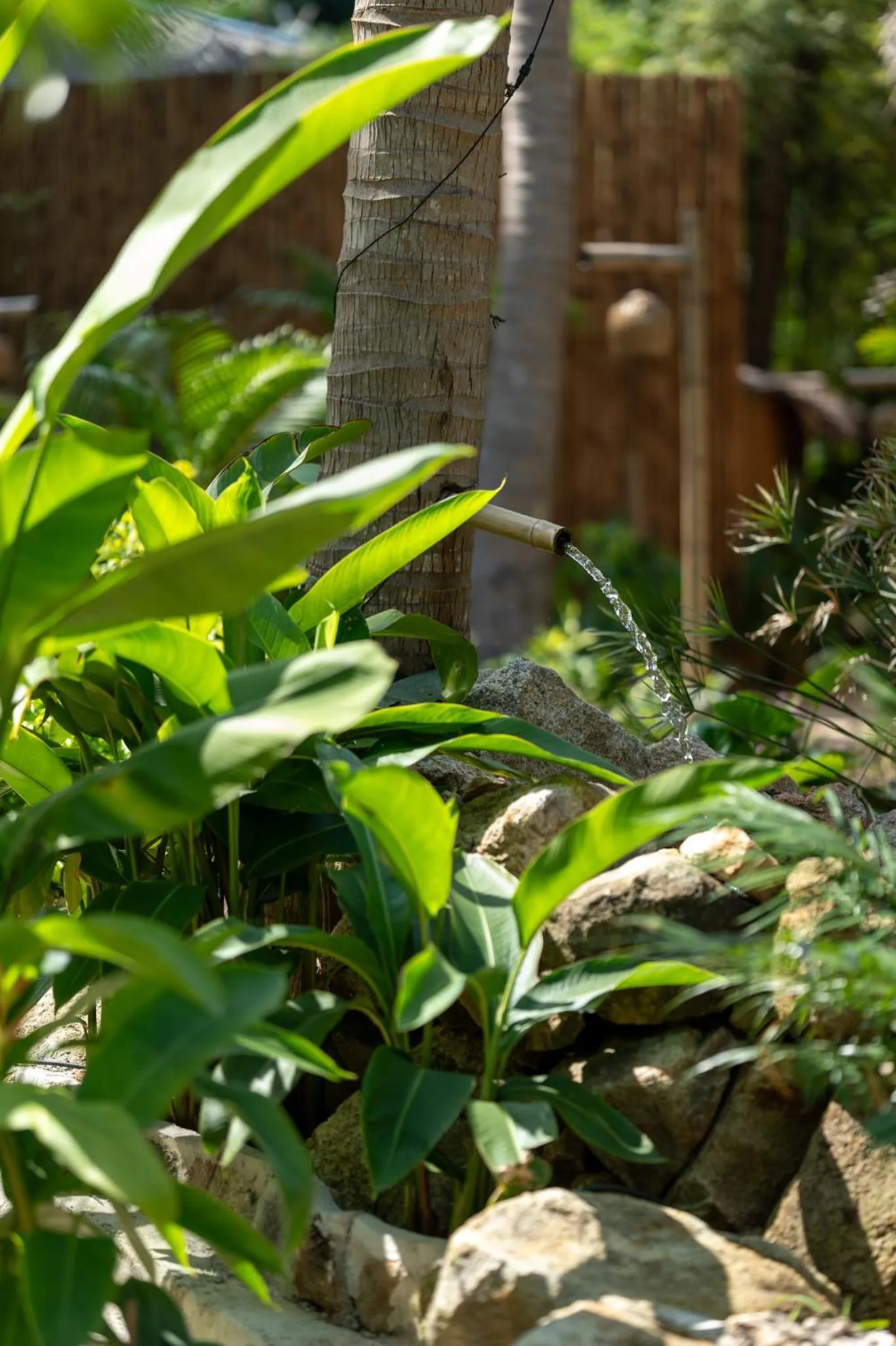 Natural landscape in Coconut Bay Eco Resort