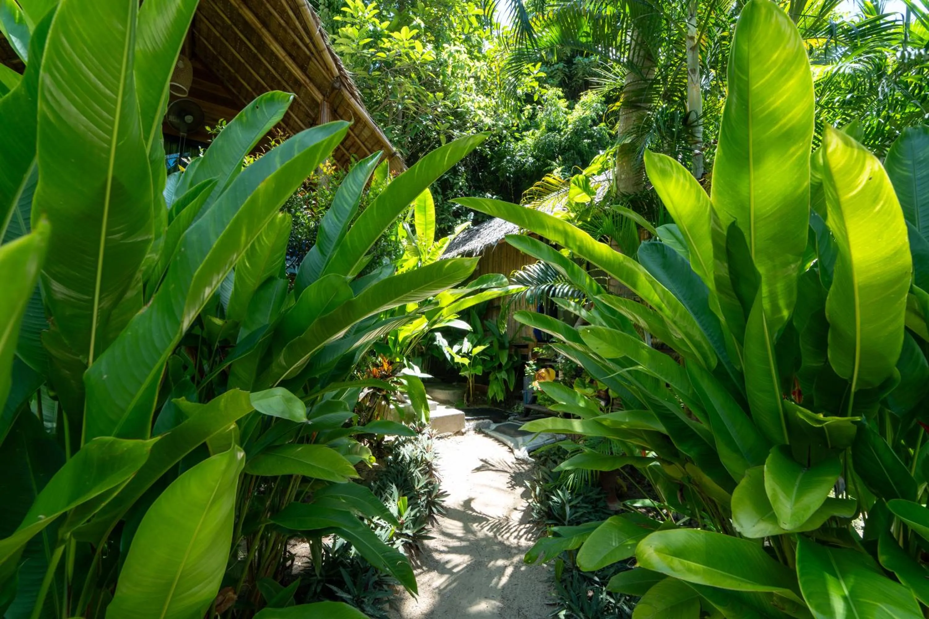 Garden in Coconut Bay Eco Resort