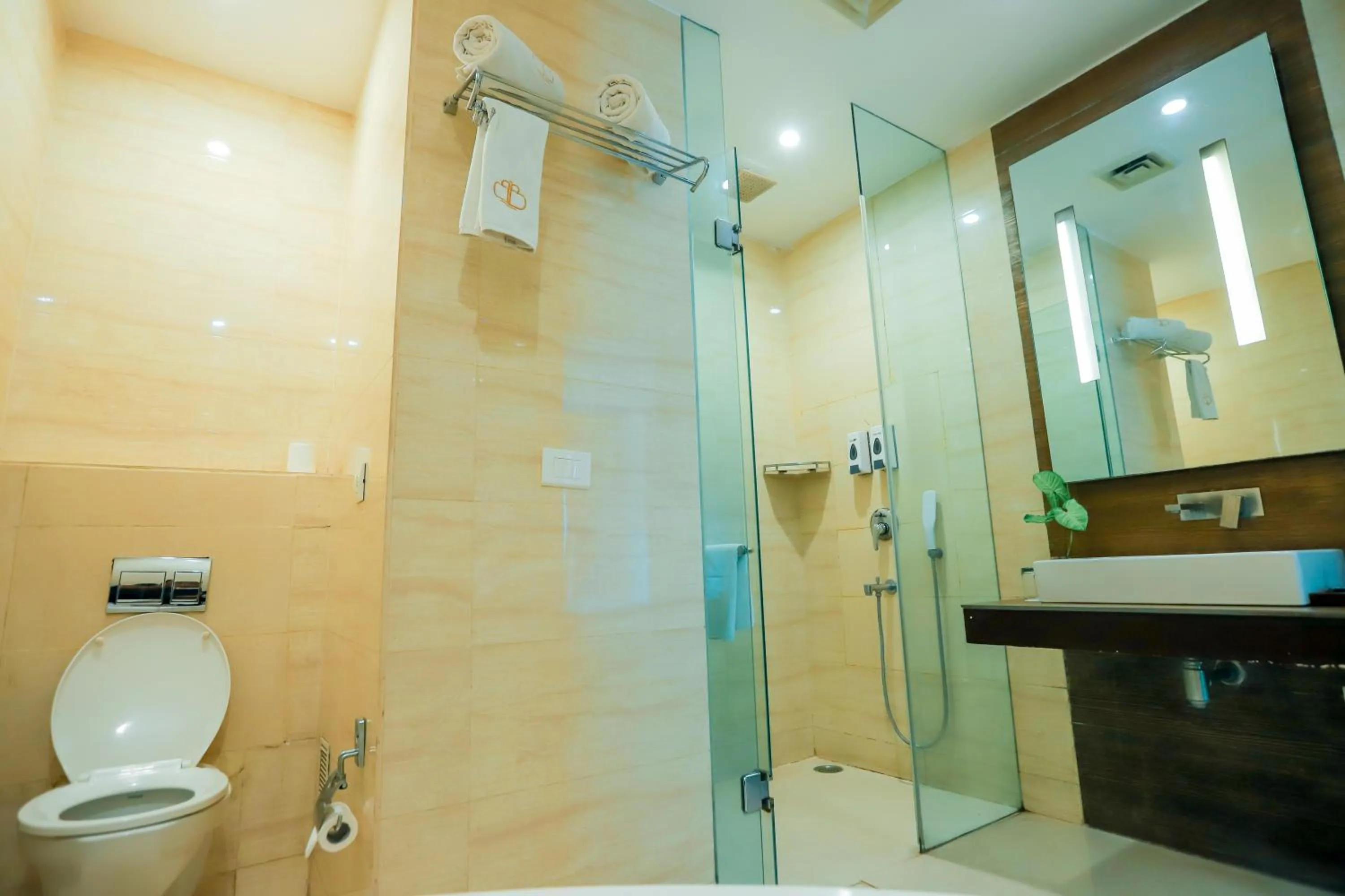 Toilet in Bel-La Monde Hotel Chhattarpur South Delhi